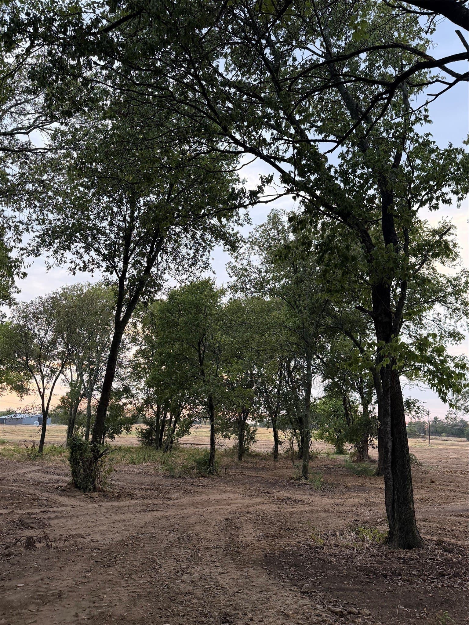 2 acres in Johnson County - photo 4