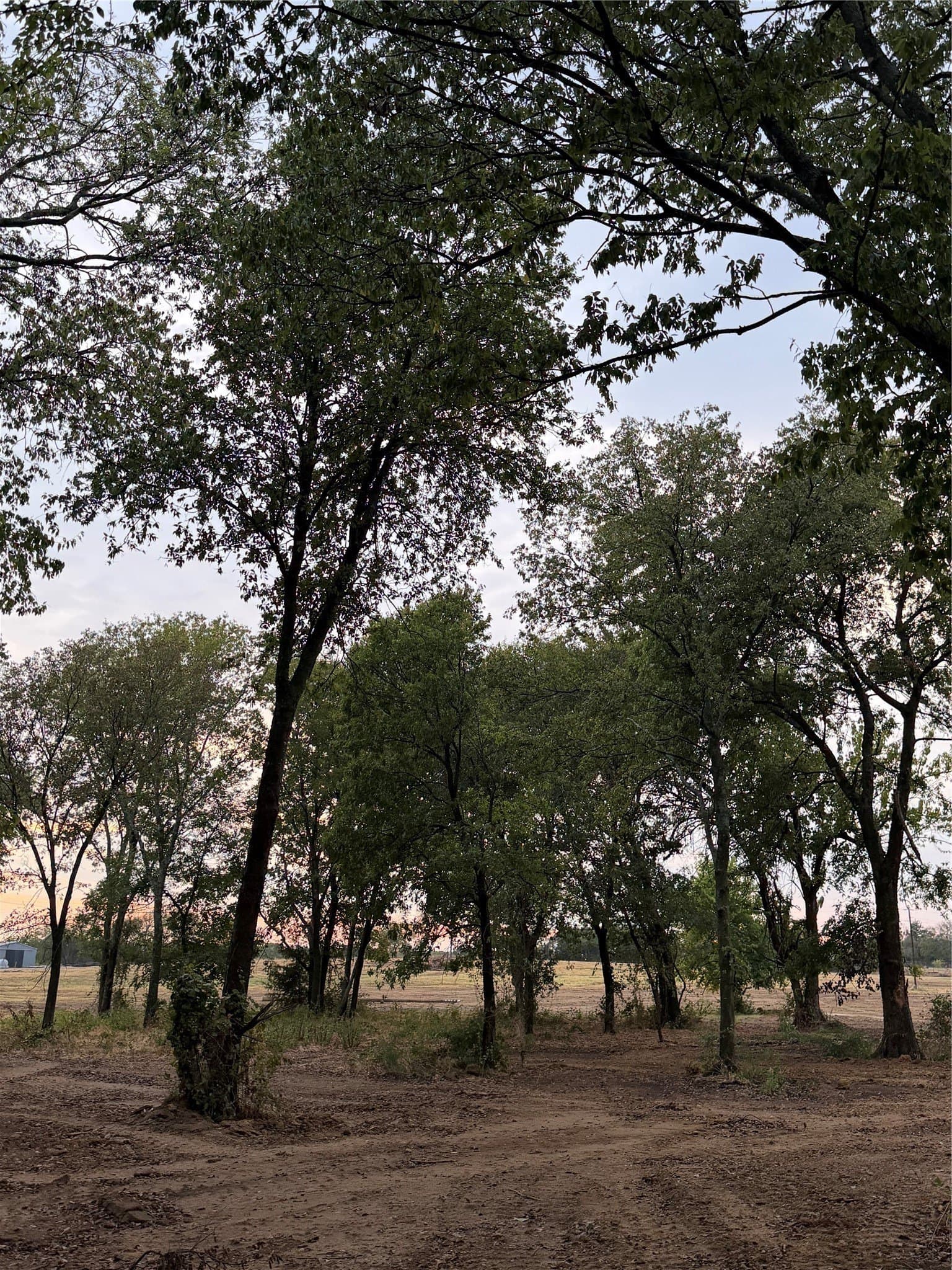 2 acres in Johnson County - photo 6