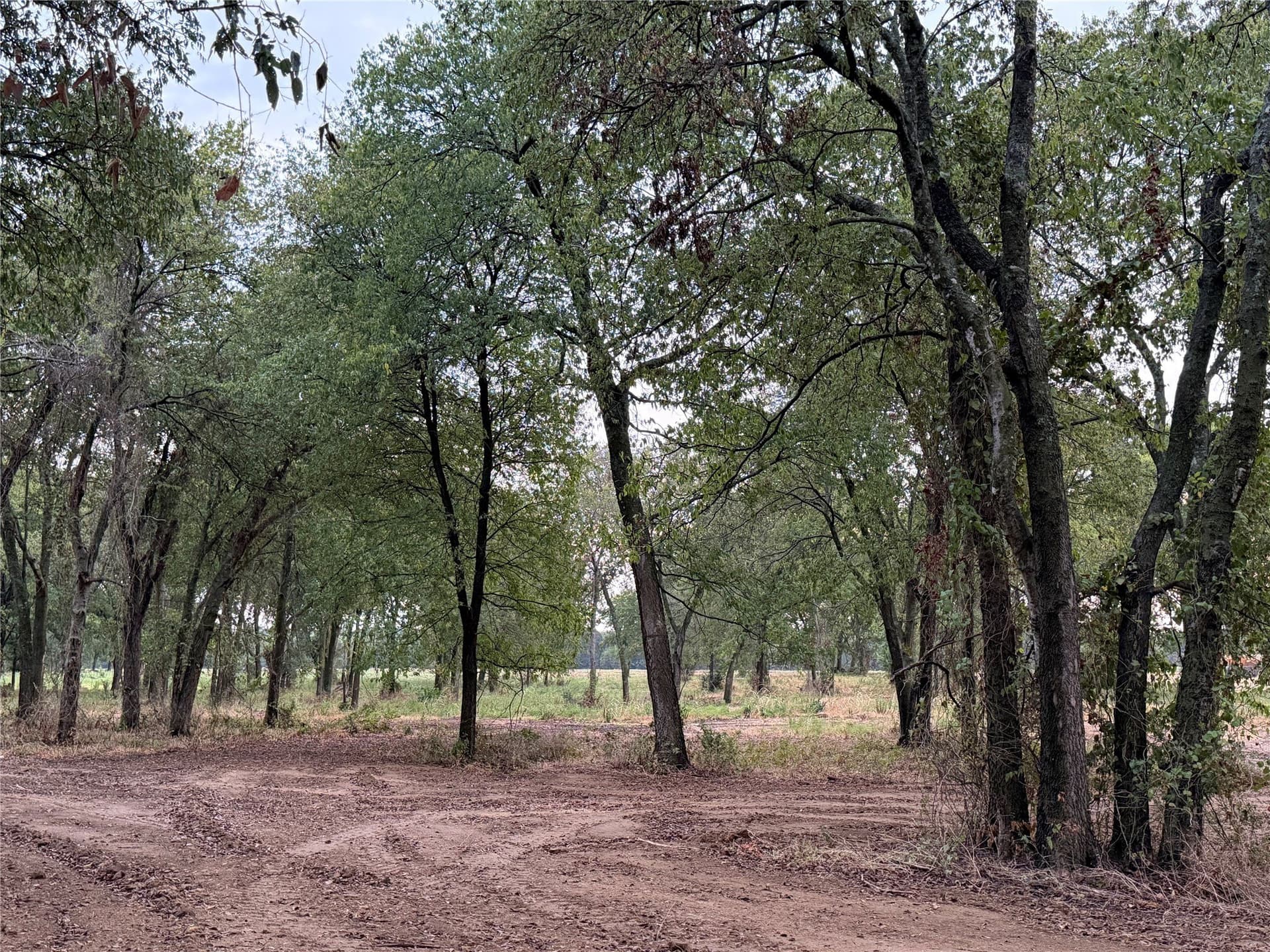 2 acres in Johnson County - photo 5