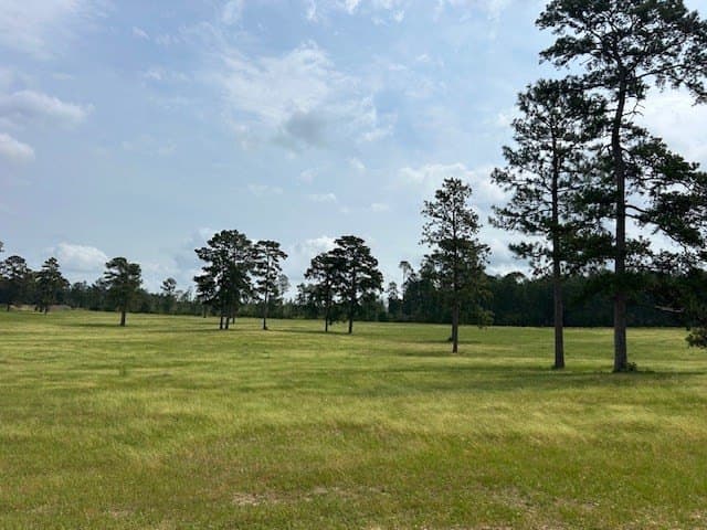 5.29 acres in Texas County - photo 5