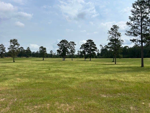 5.29 acres in Texas County - photo 4