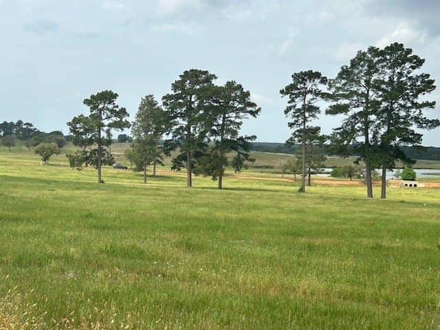5.29 acres in Texas County - photo 3