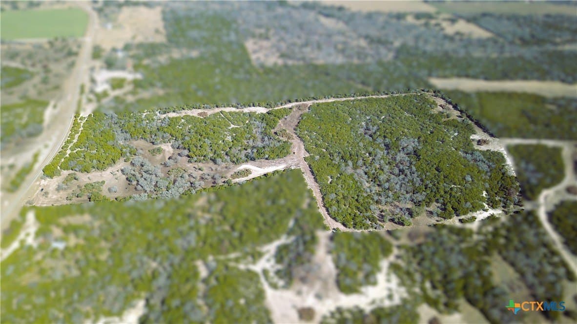 52.52 acres in Coryell County gallery image 3