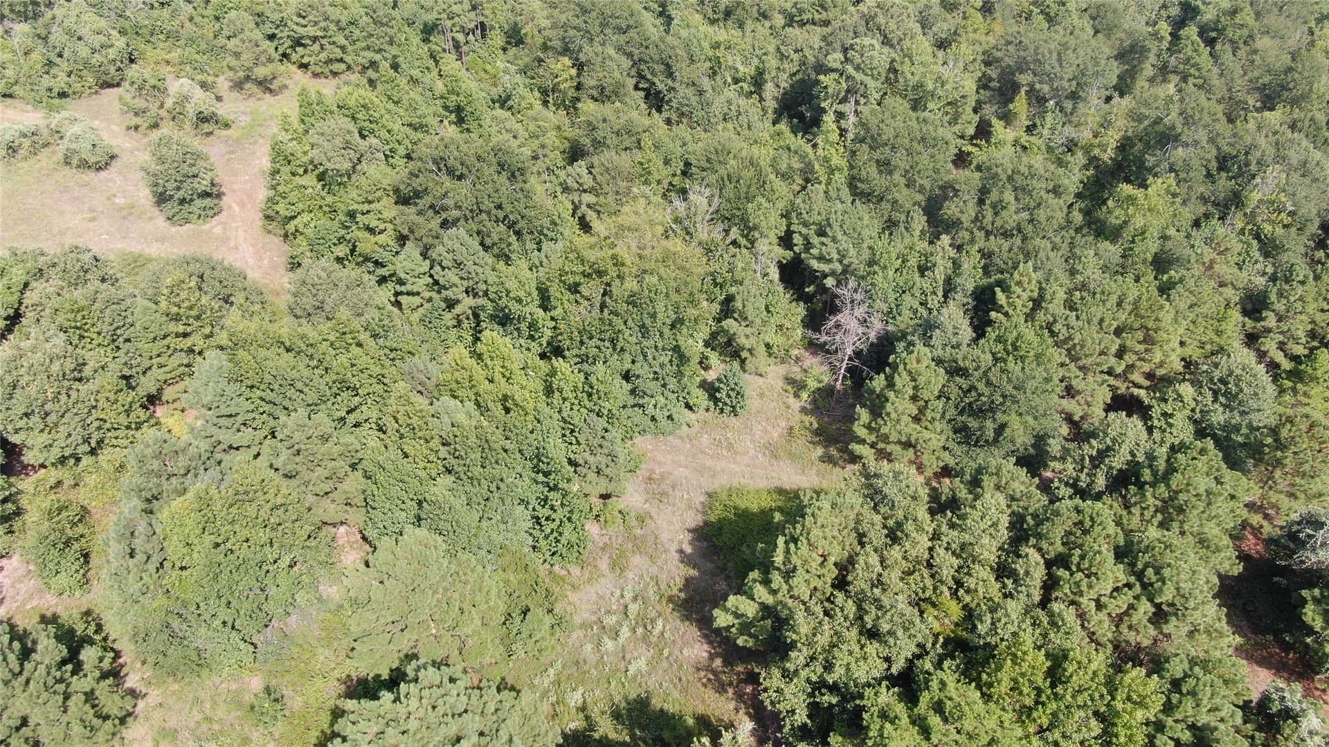 58.81 acres in Anderson County - photo 32