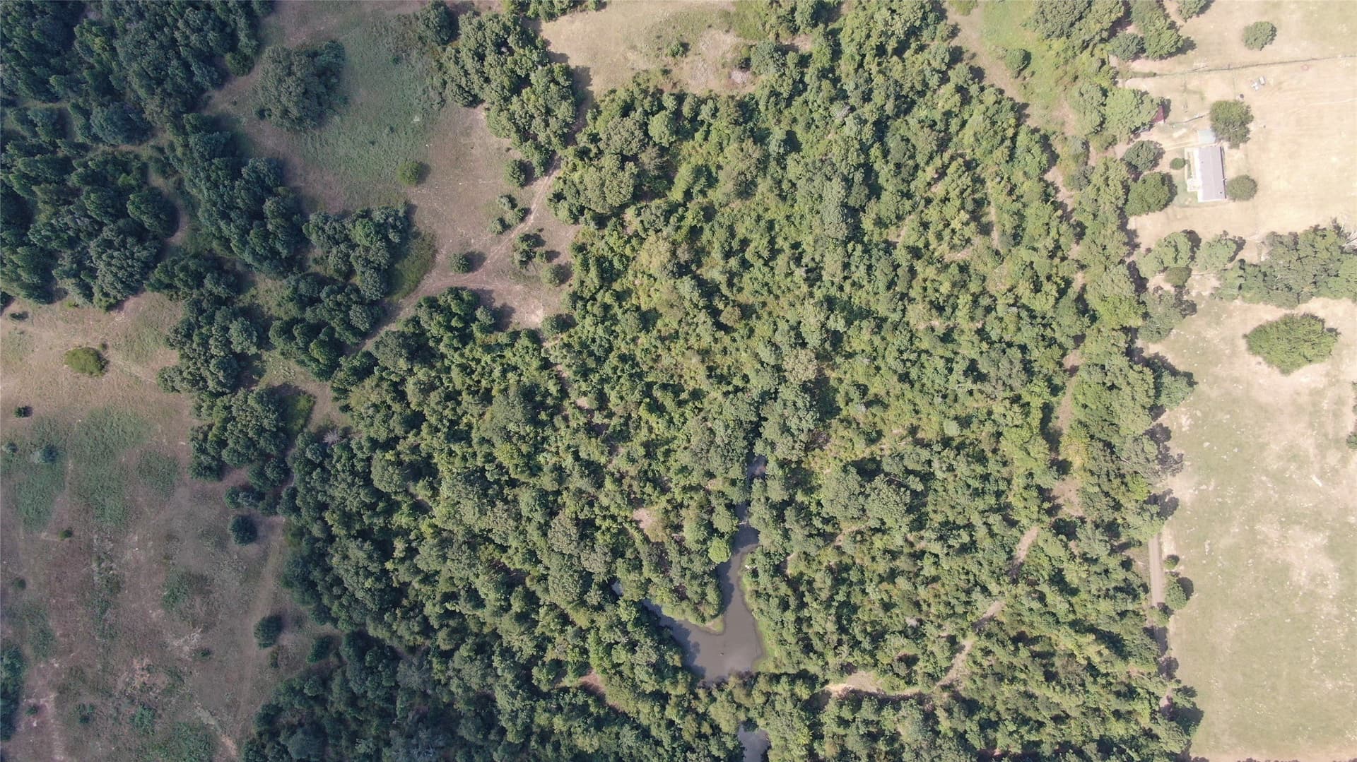 58.81 acres in Anderson County - photo 22