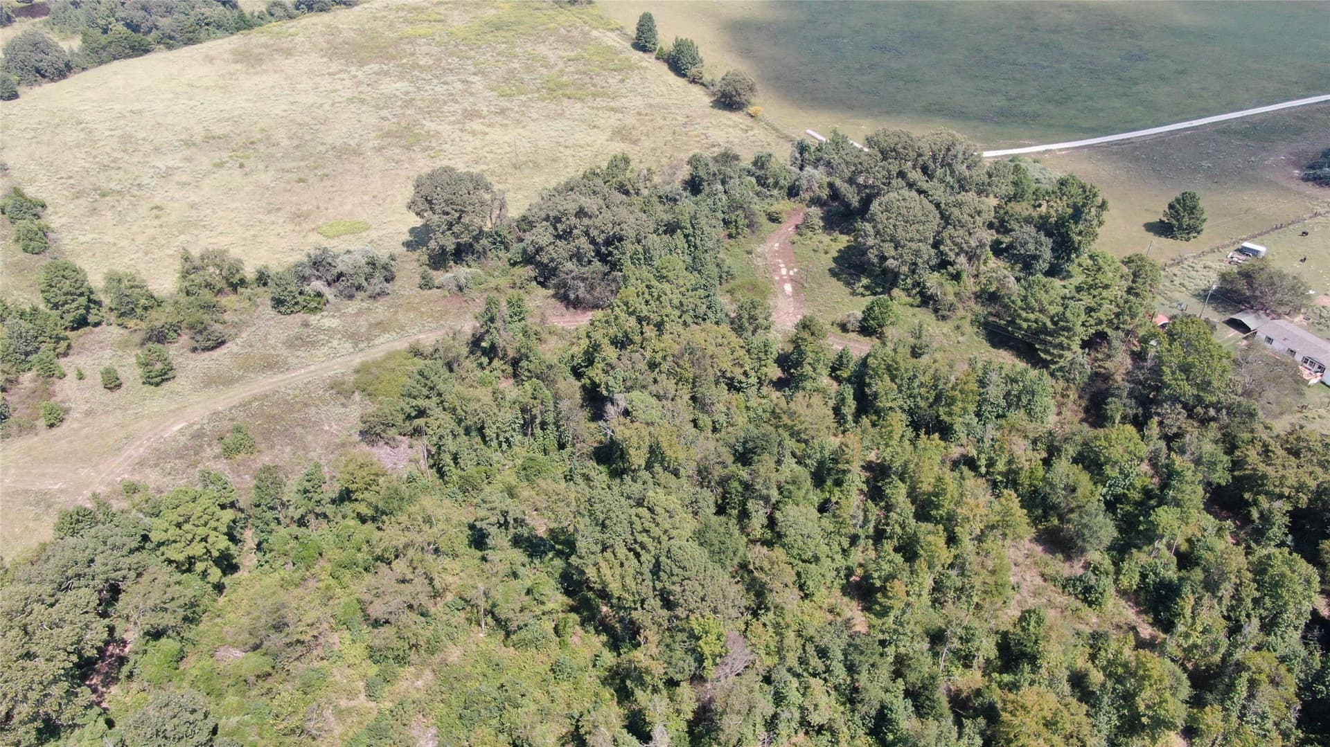 59.1 acres in Anderson County gallery image 4