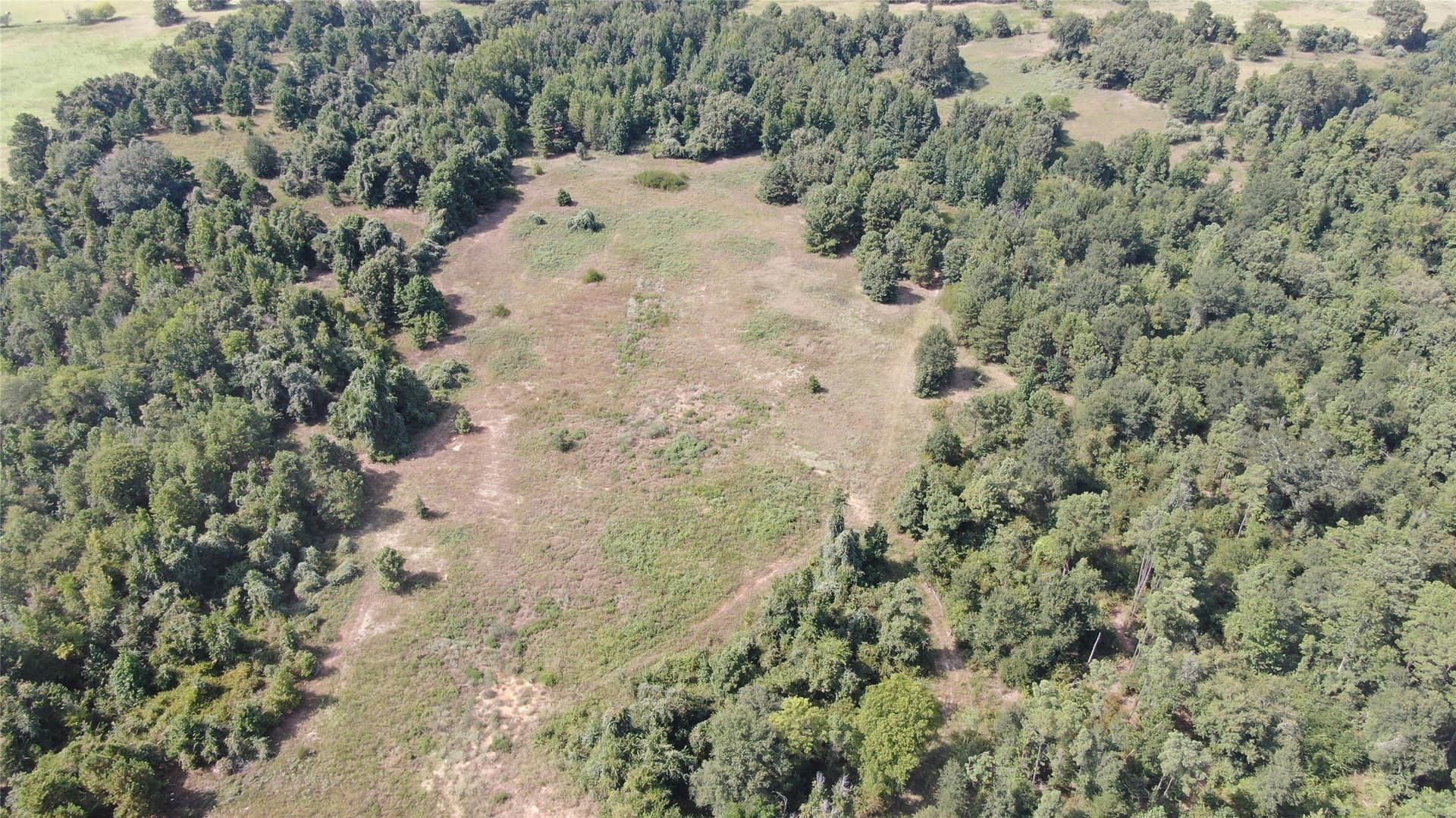 58.81 acres in Anderson County - photo 15