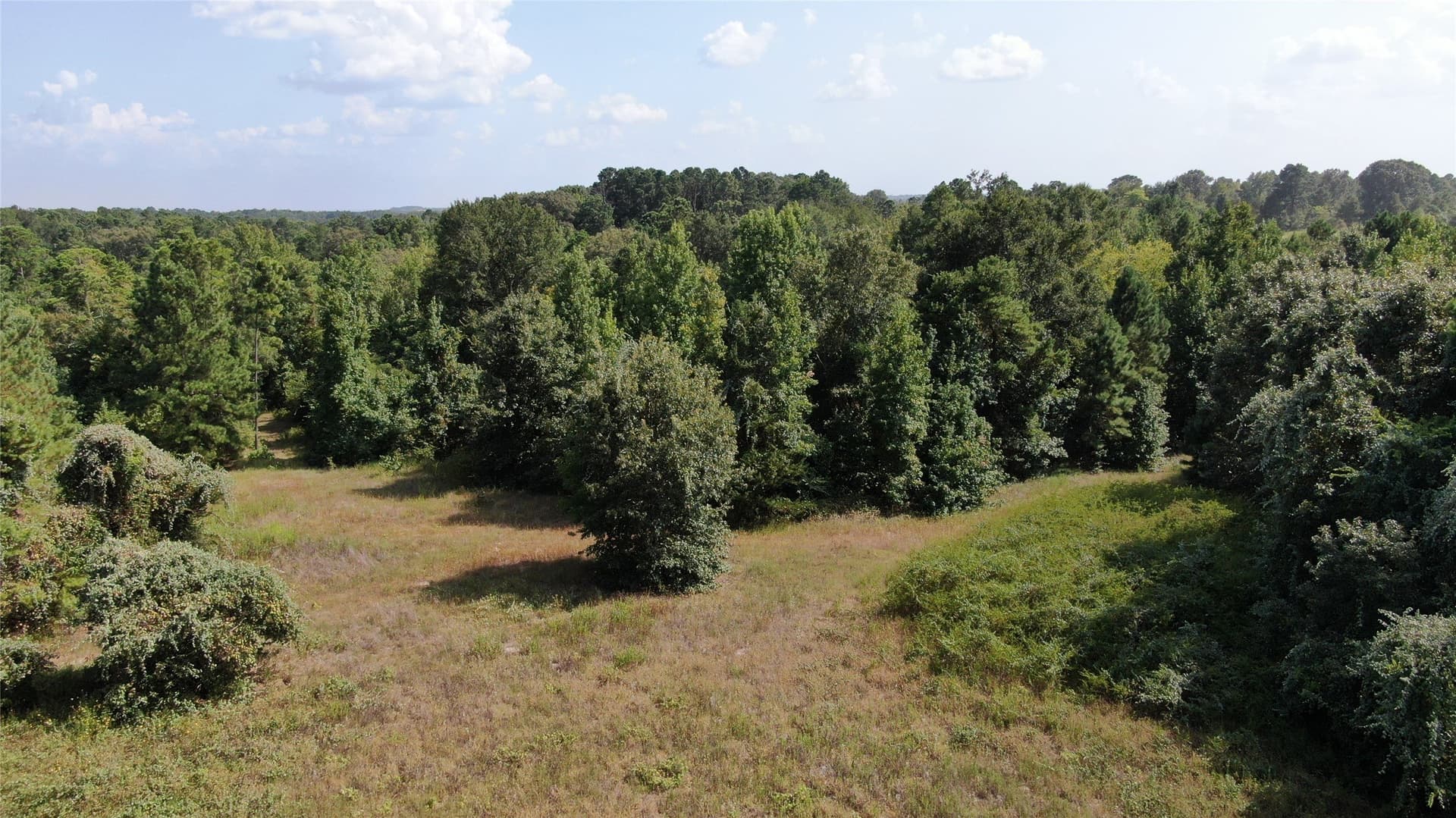 58.81 acres in Anderson County - photo 19