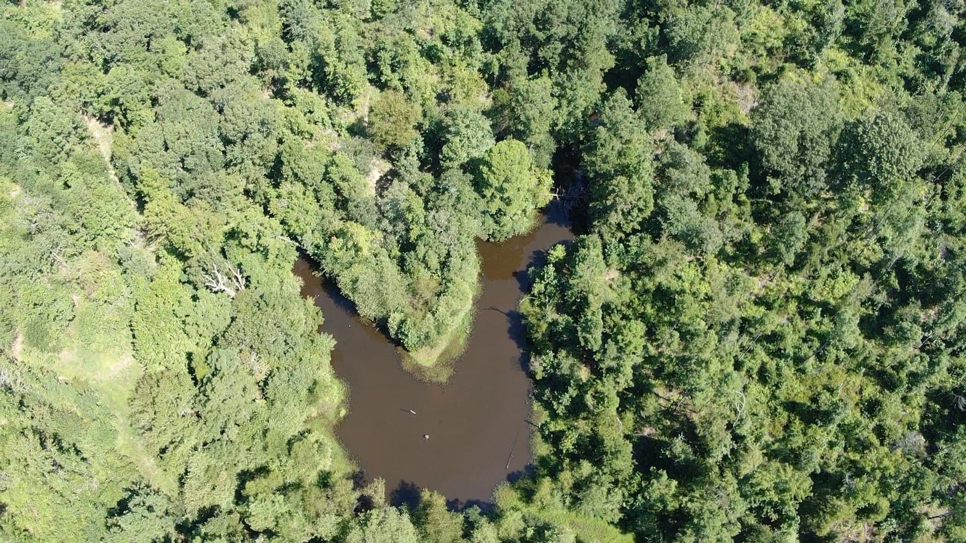 58.81 acres in Anderson County - photo 8