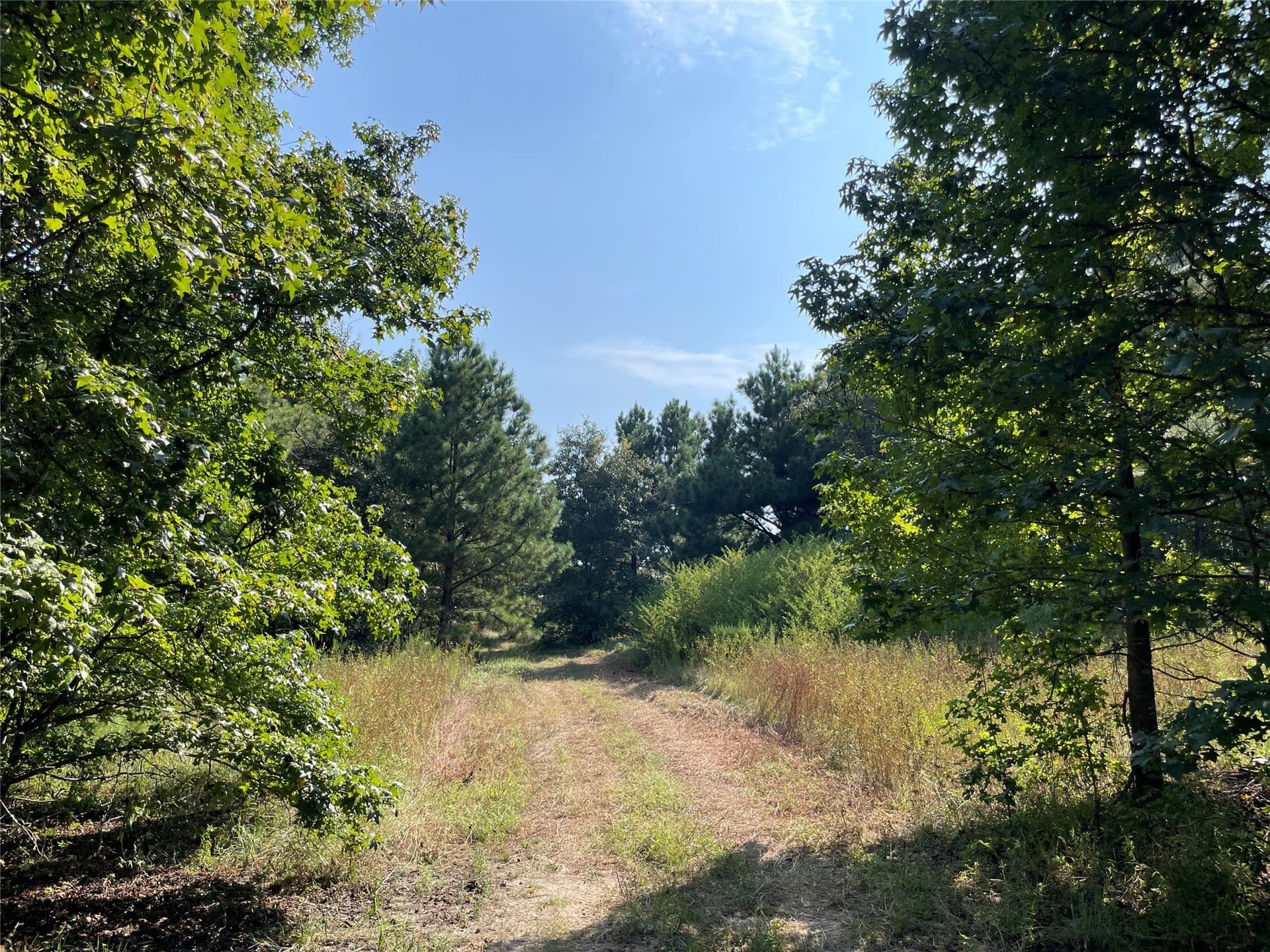 58.81 acres in Anderson County - photo 26