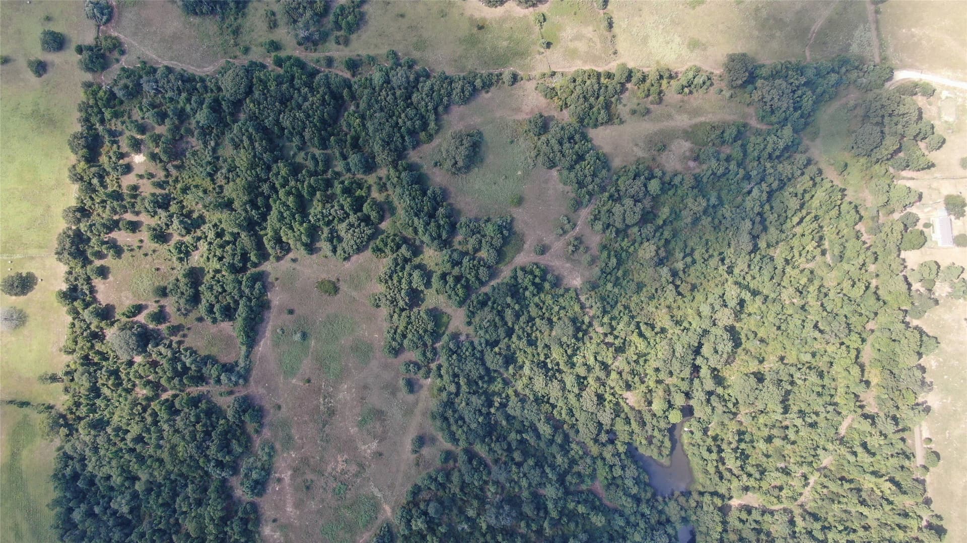 58.81 acres in Anderson County - photo 13