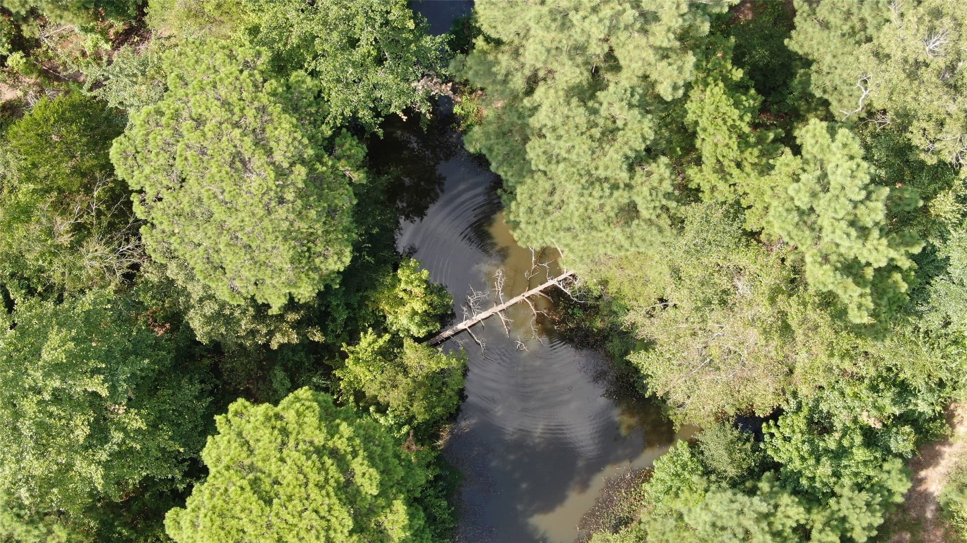 58.81 acres in Anderson County - photo 12