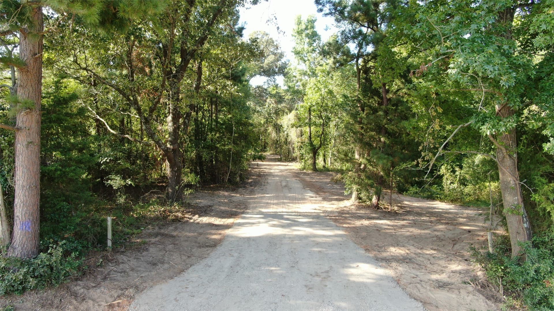 58.81 acres in Anderson County - photo 7