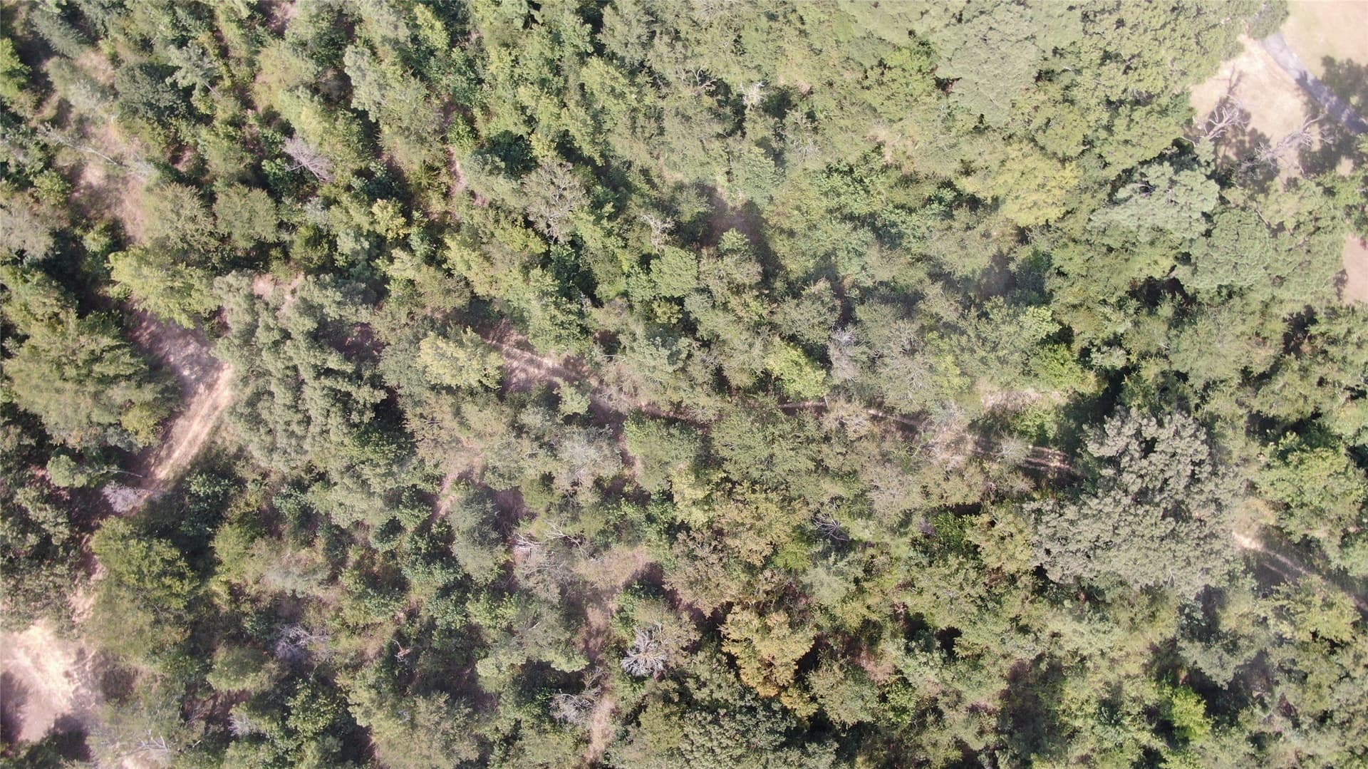 58.81 acres in Anderson County - photo 14