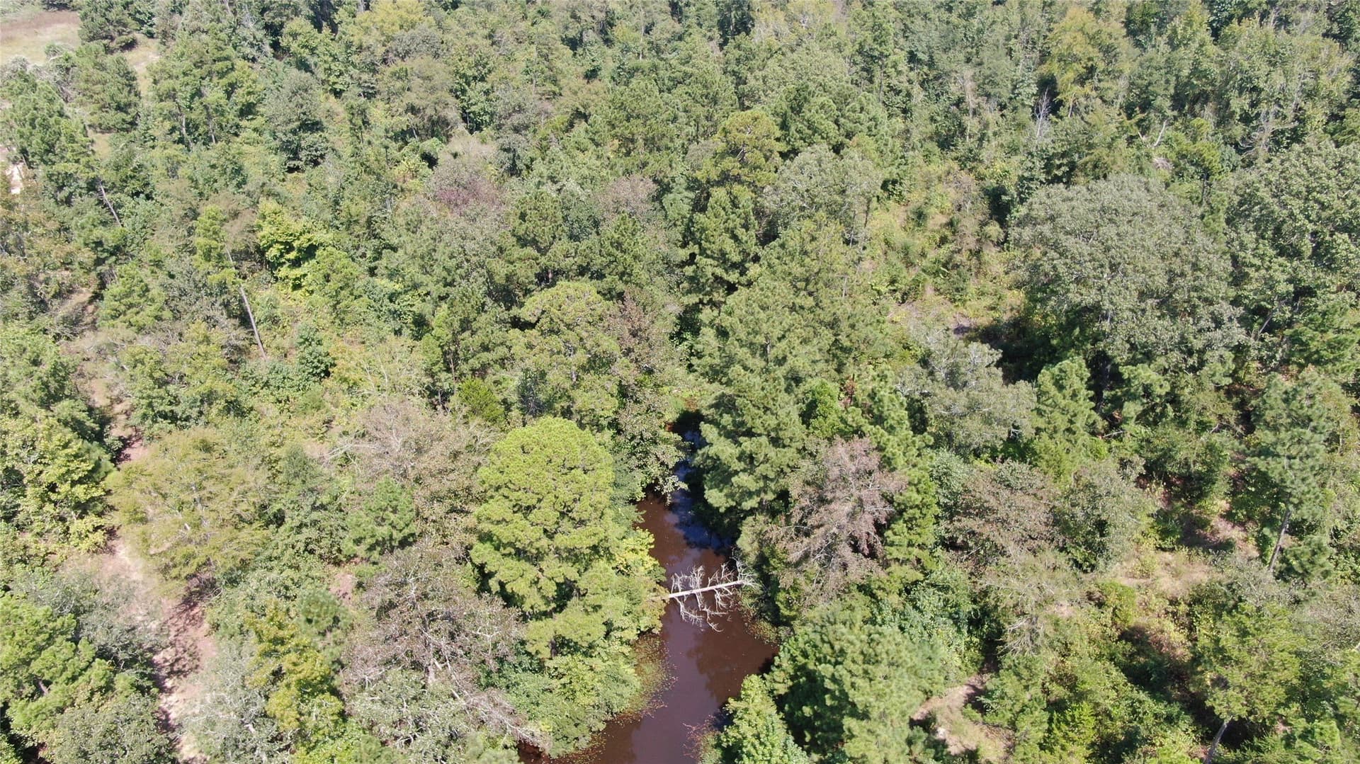 59.1 acres in Anderson County featured view