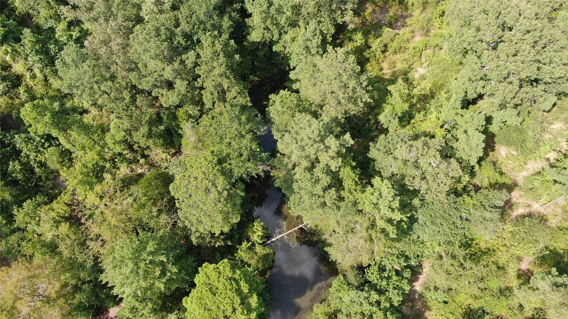 58.81 acres in Anderson County - photo 23
