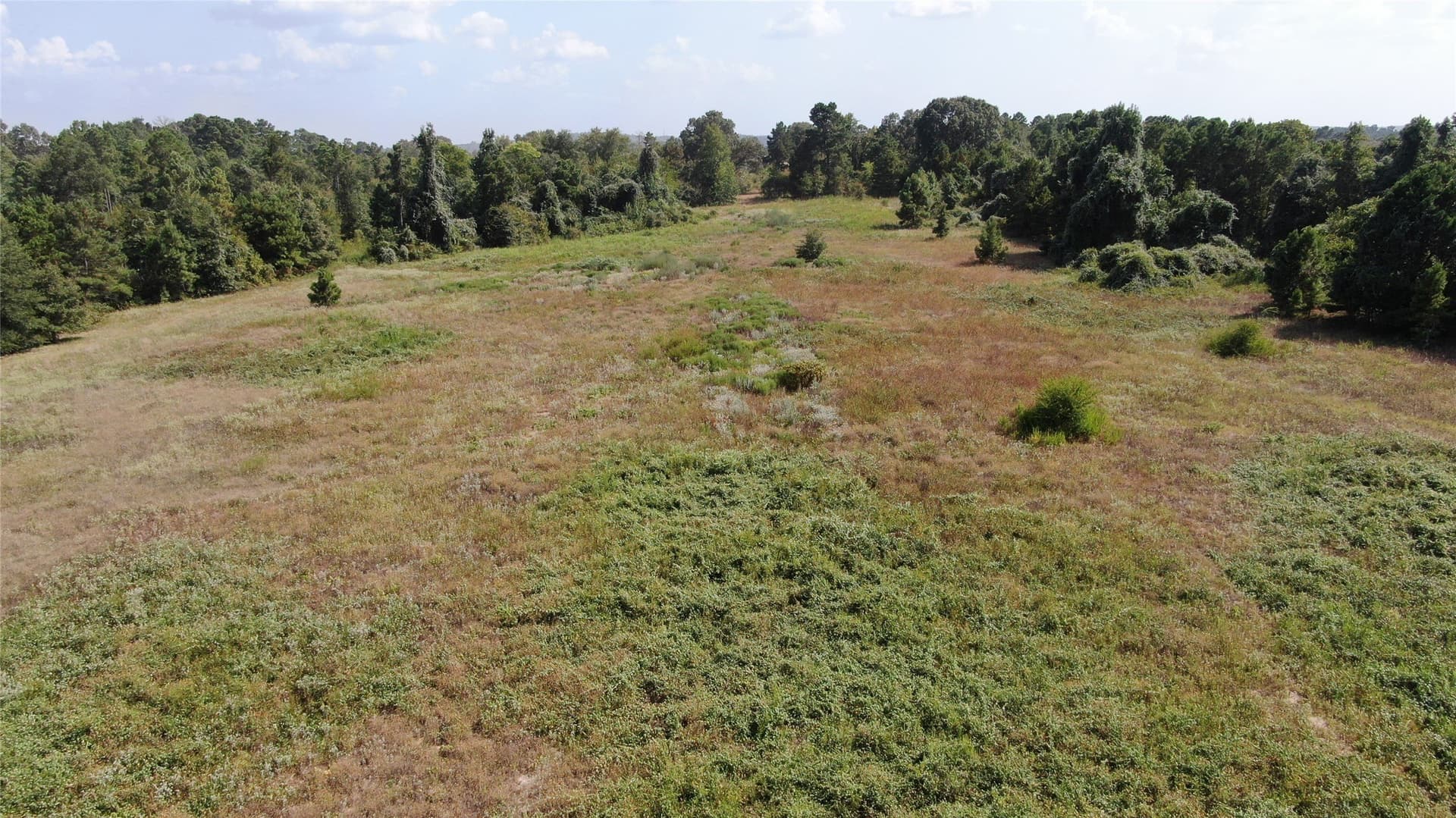58.81 acres in Anderson County - photo 18
