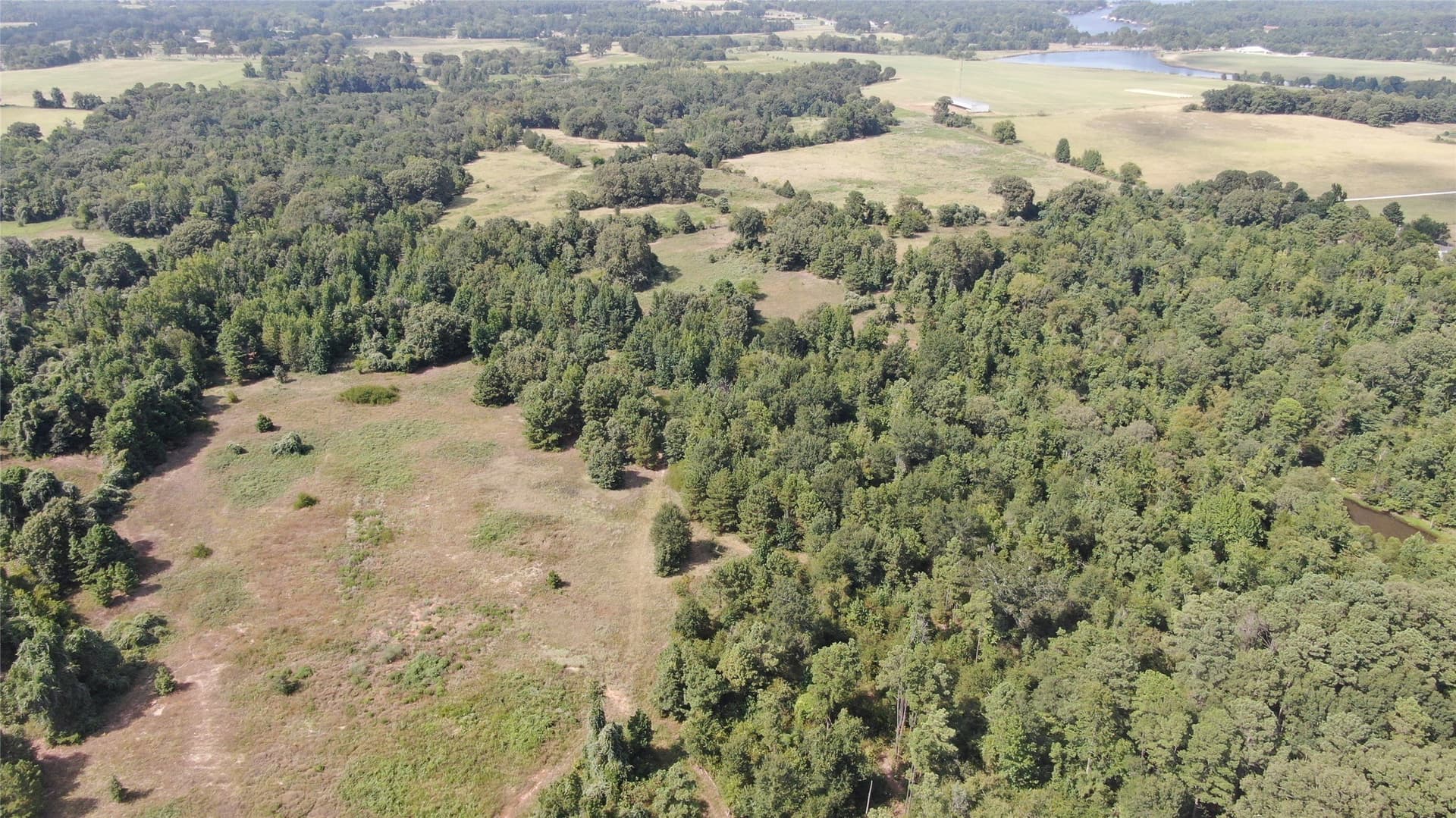 58.81 acres in Anderson County - photo 16