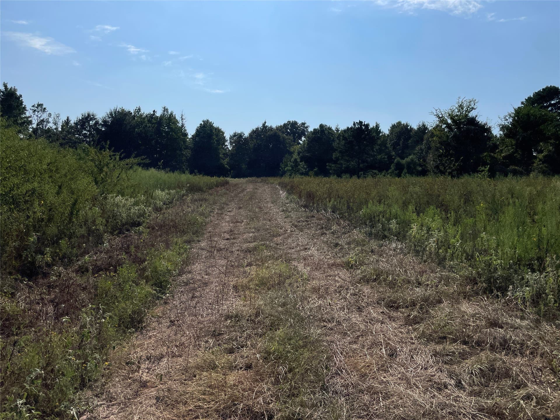 58.81 acres in Anderson County - photo 30