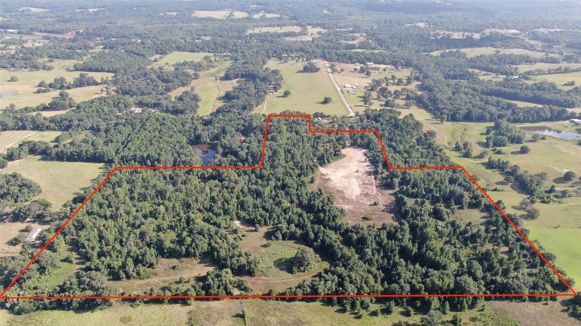 59.1 acres in Anderson County