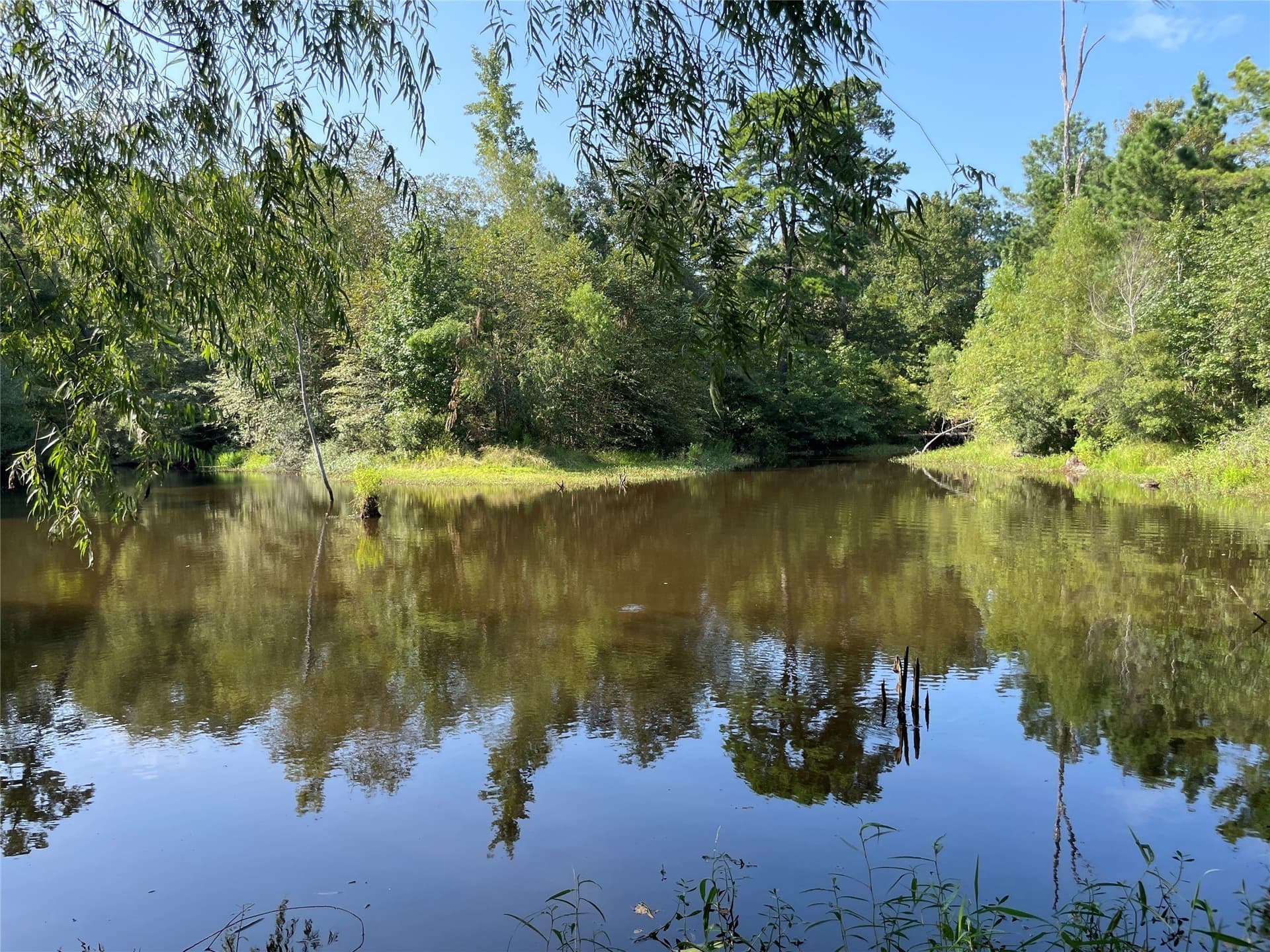 58.81 acres in Anderson County - photo 11