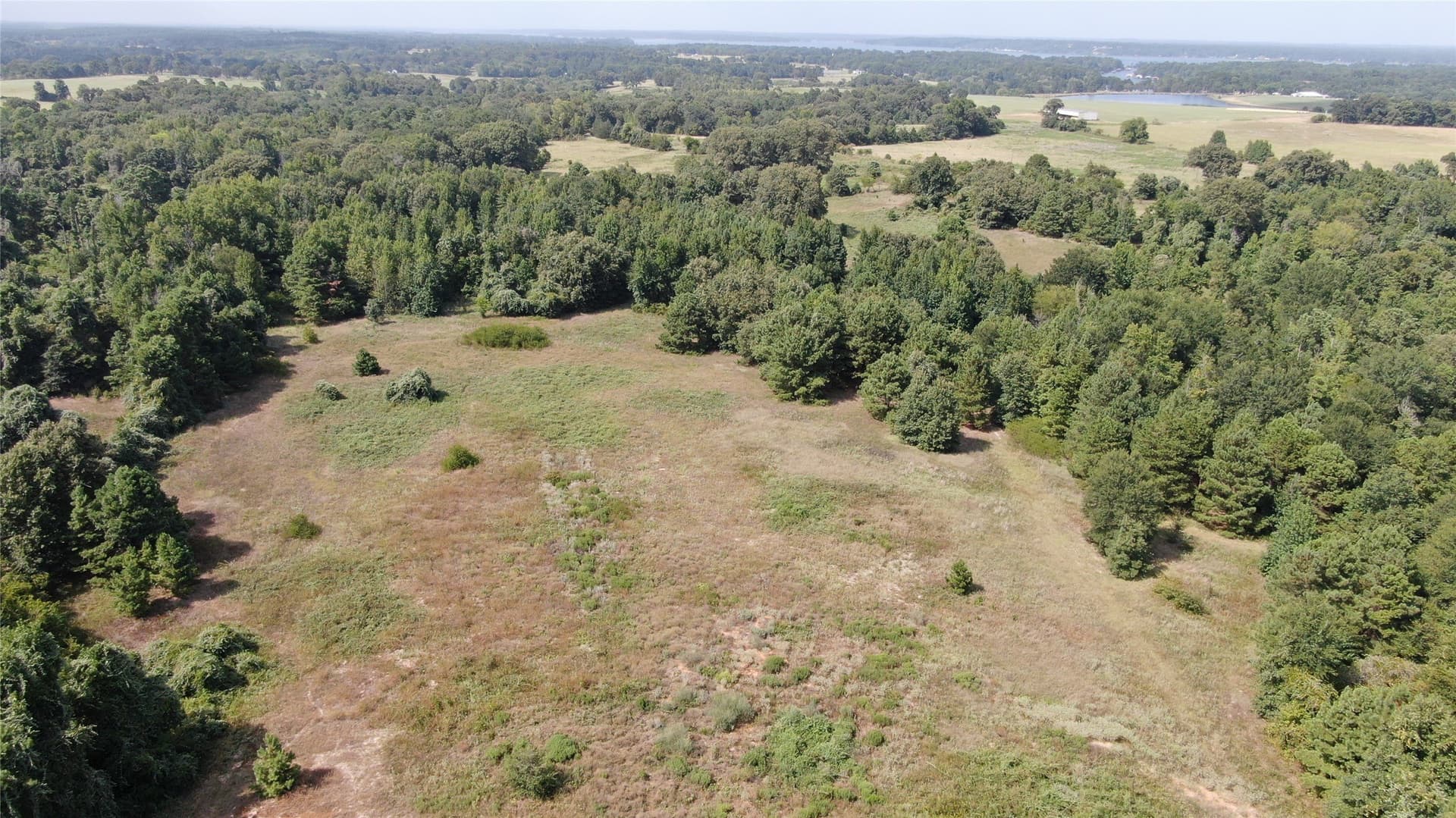 58.81 acres in Anderson County - photo 17