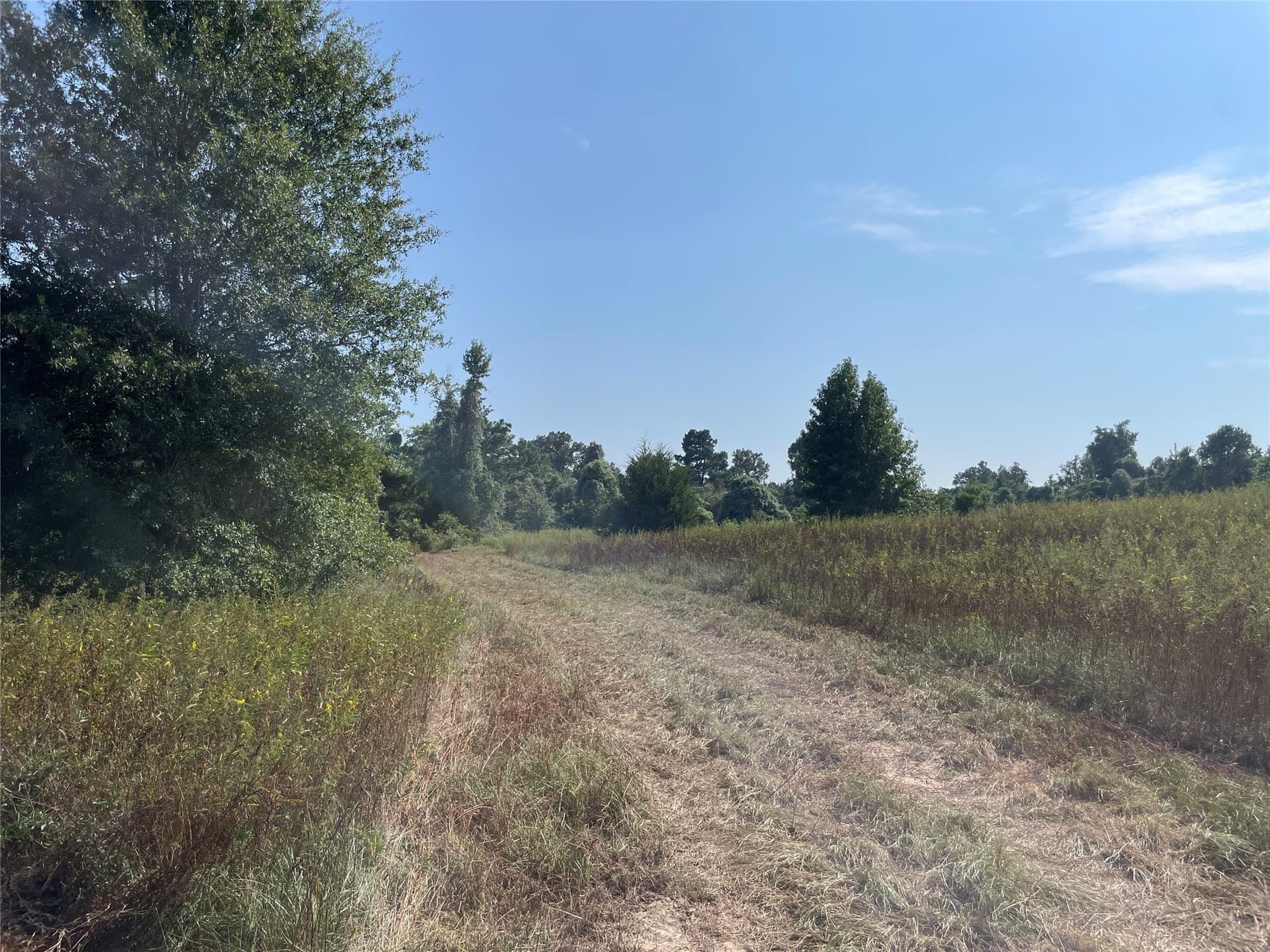 58.81 acres in Anderson County - photo 31