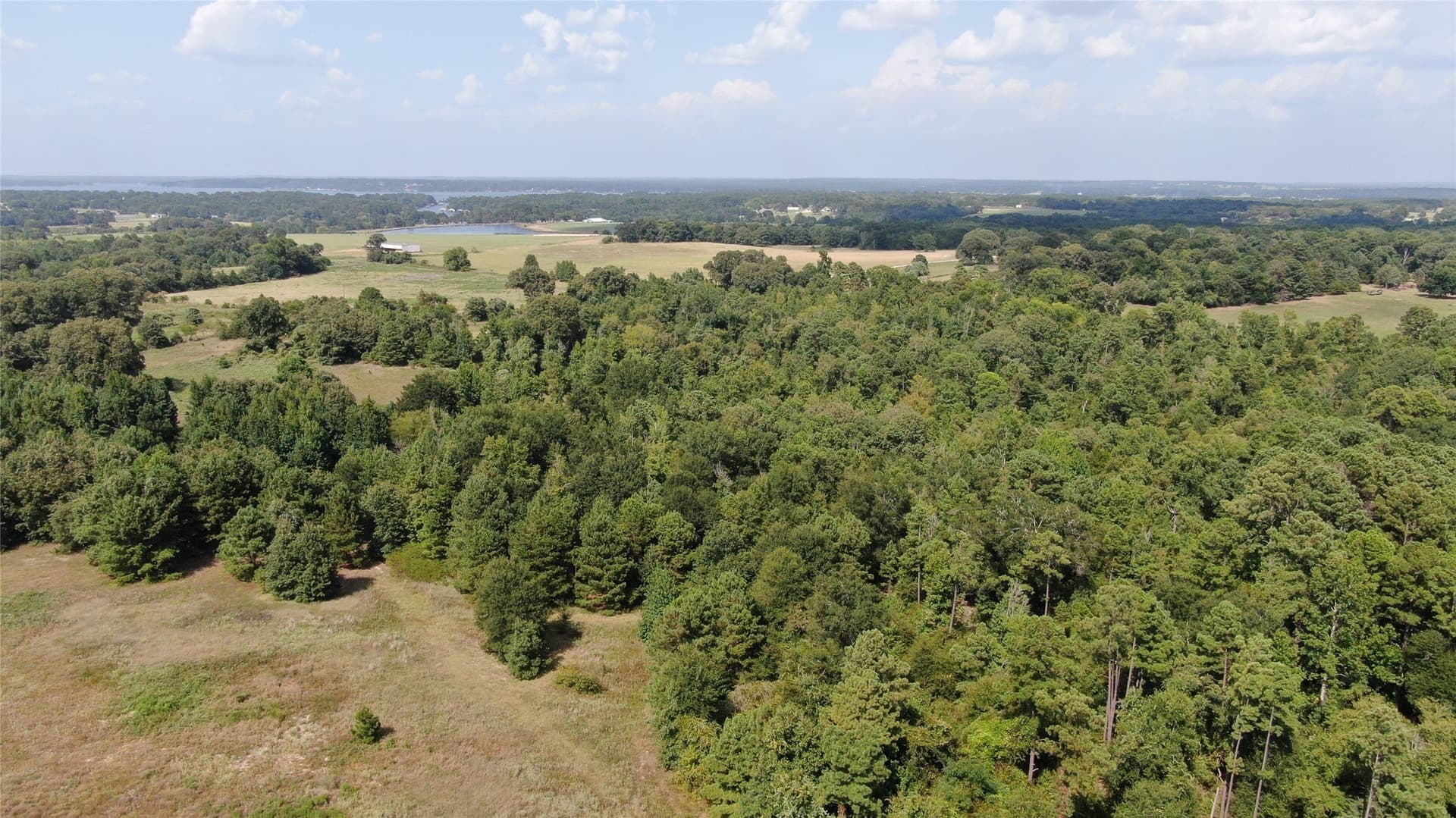 58.81 acres in Anderson County - photo 33