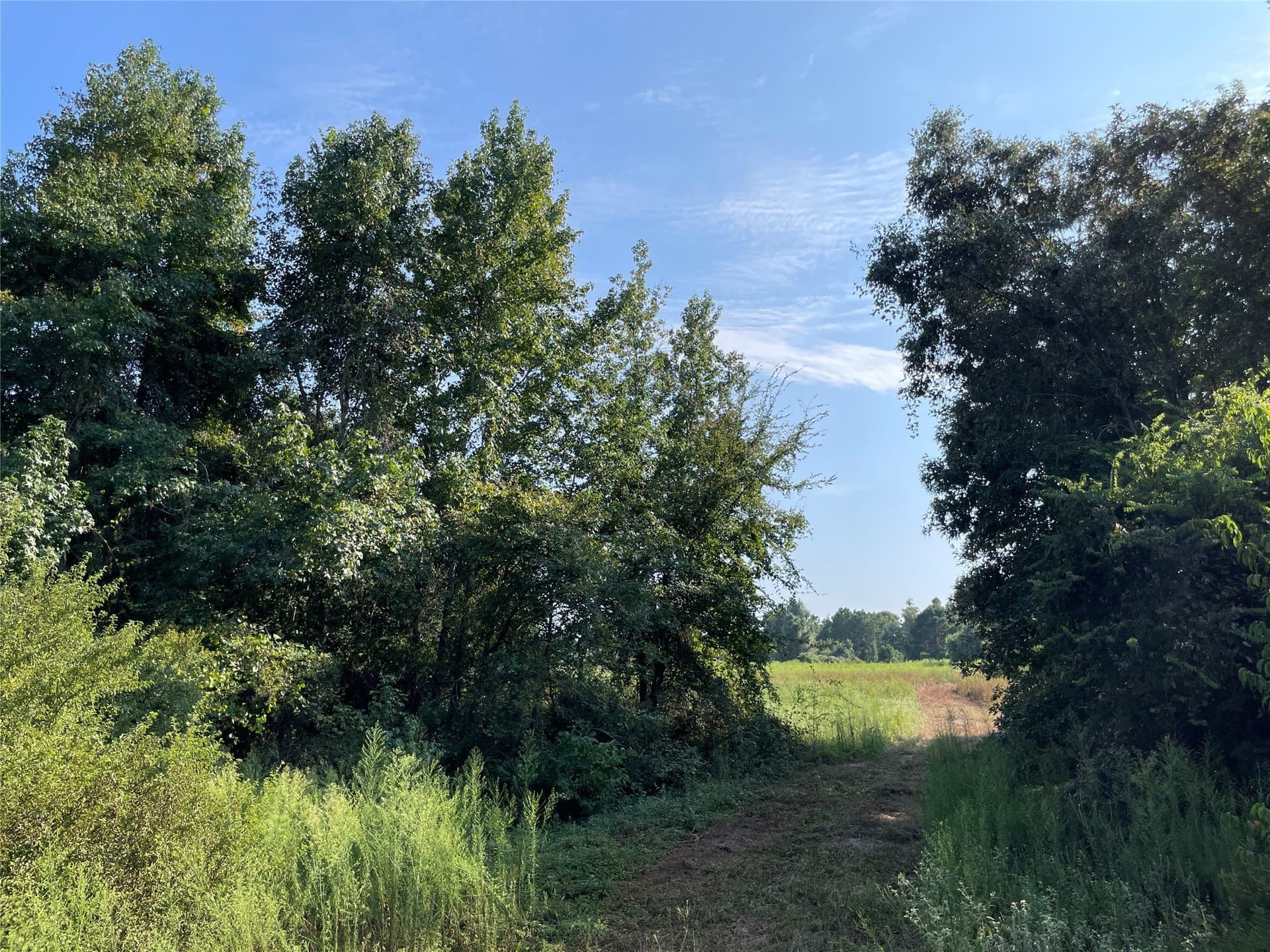 58.81 acres in Anderson County - photo 27