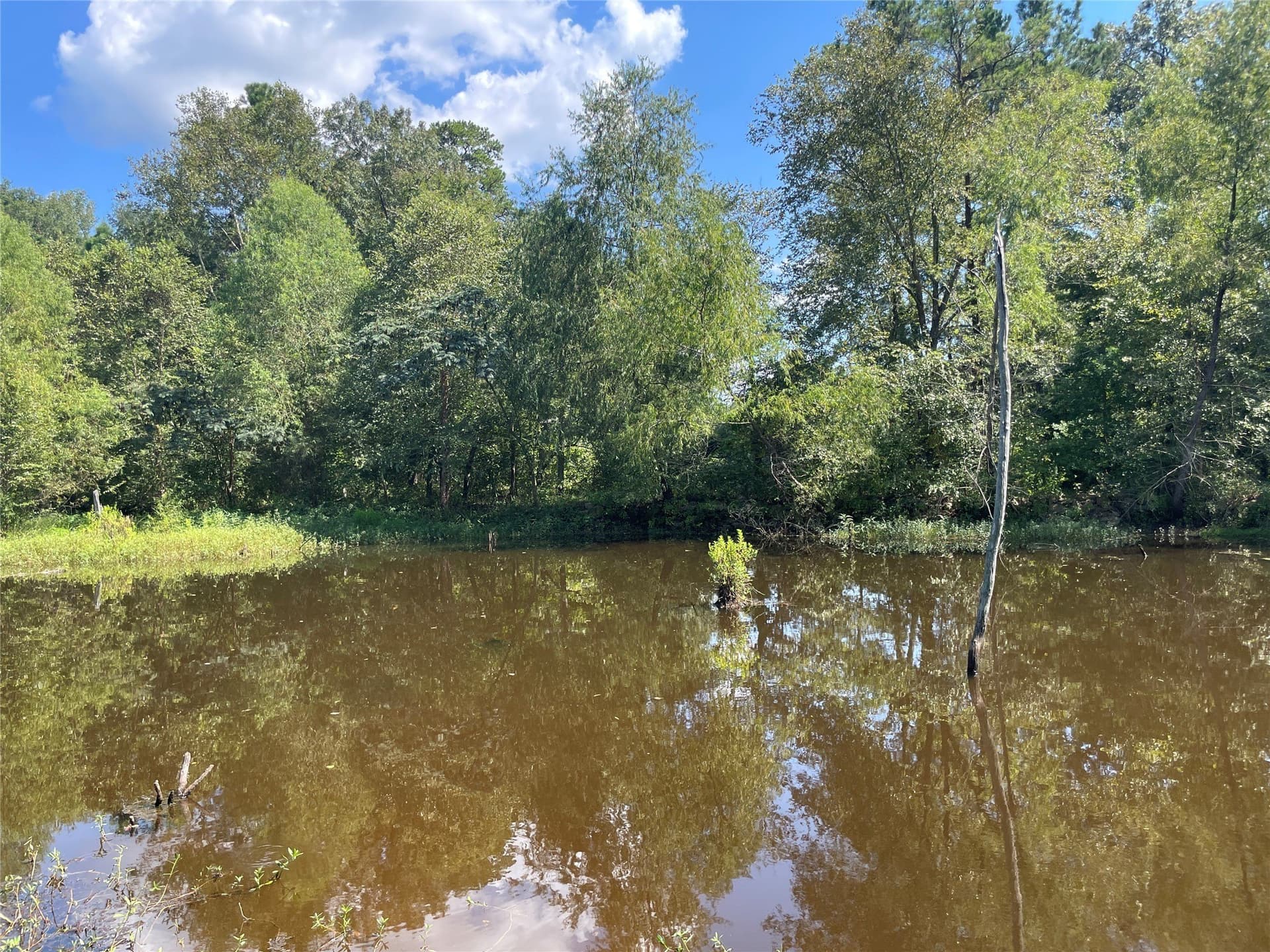 58.81 acres in Anderson County - photo 9