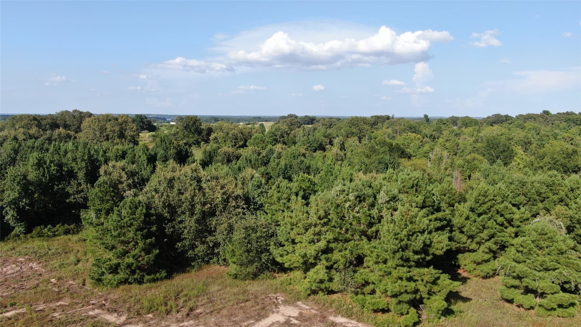 58.81 acres in Anderson County - photo 25