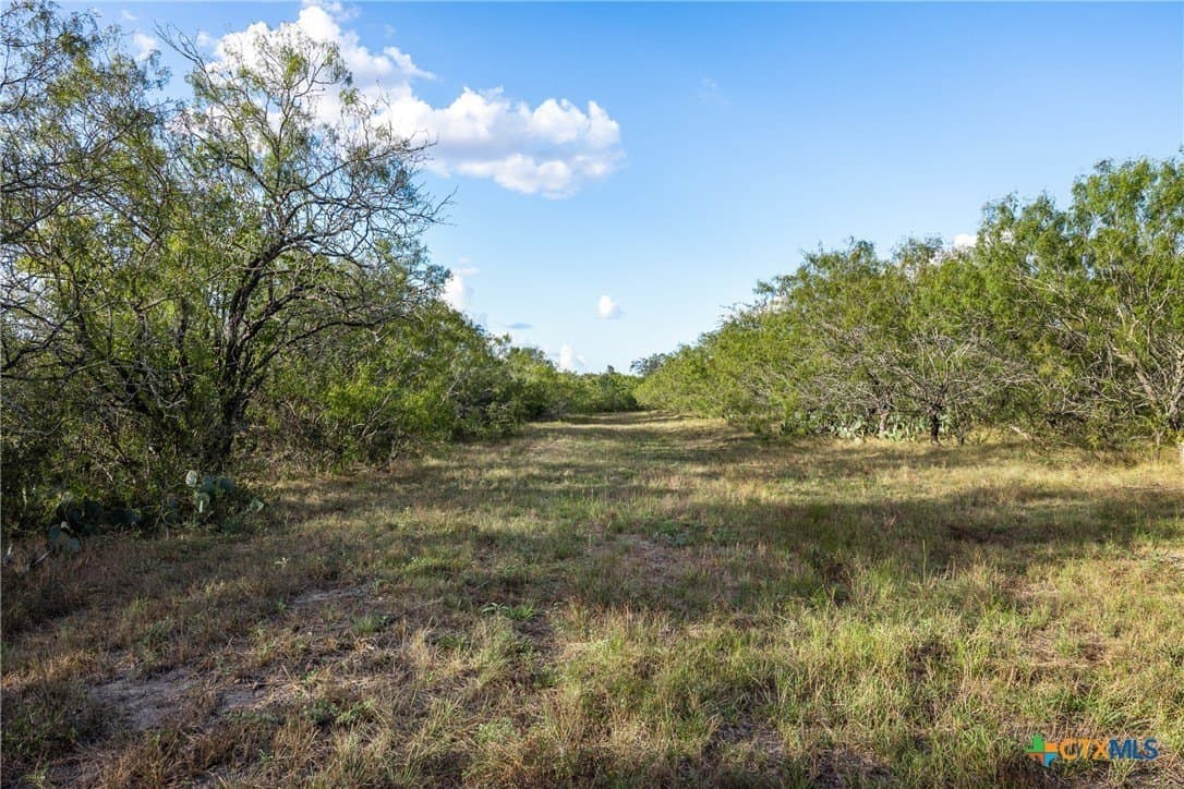 132.1 acres in Caldwell County - photo 6