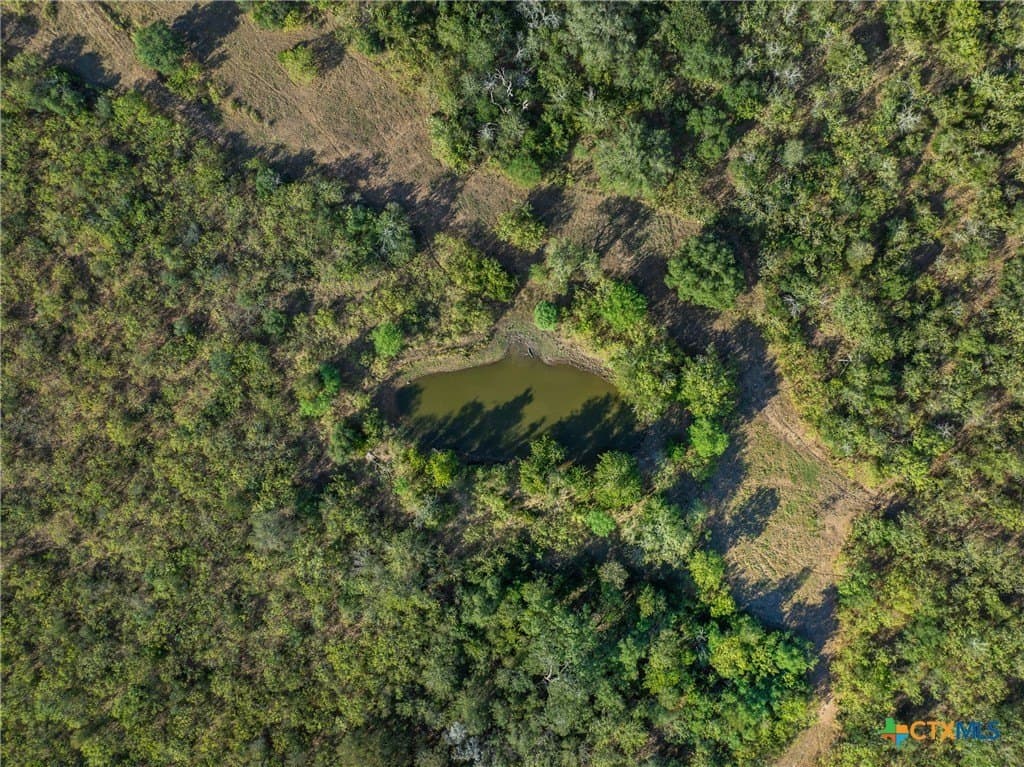 132.1 acres in Caldwell County - photo 8