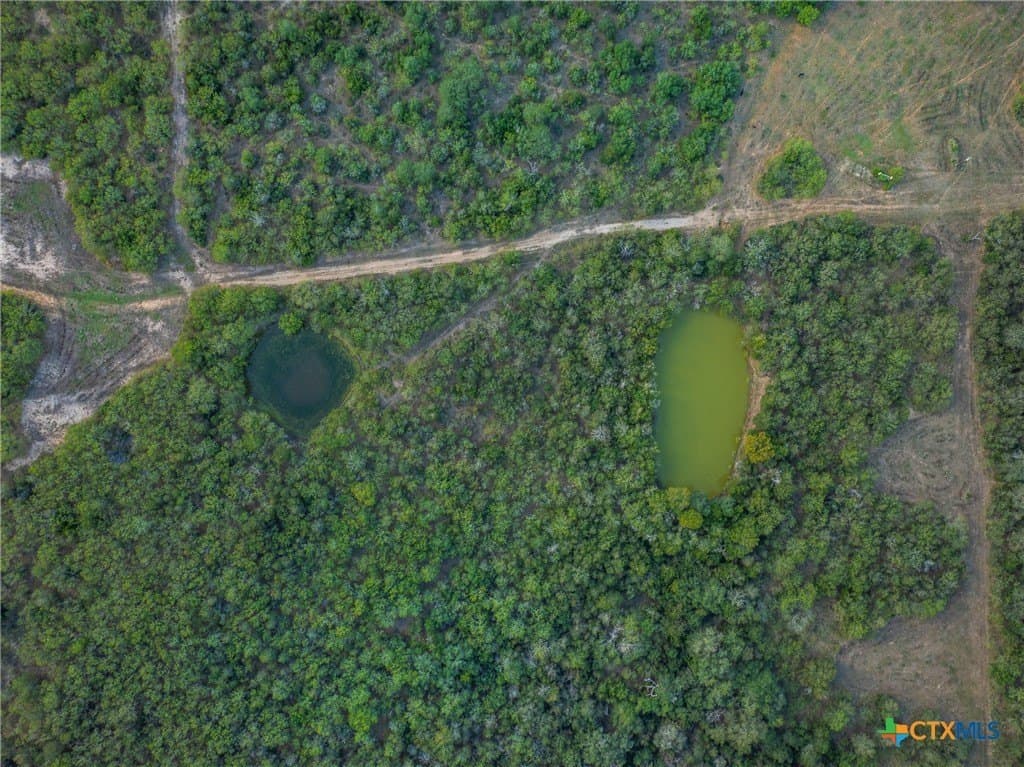 132.1 acres in Caldwell County - photo 40