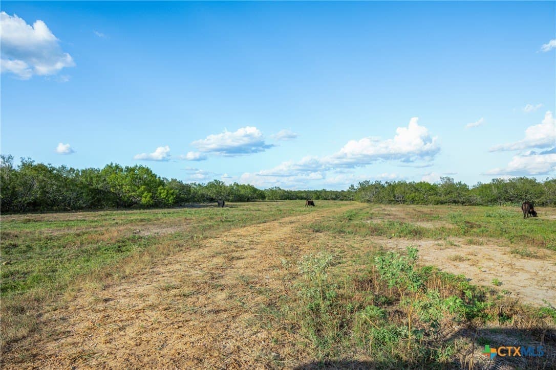 132.1 acres in Caldwell County - photo 7