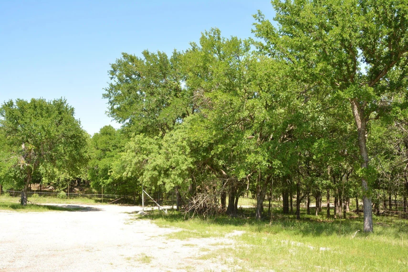 84 acres in Wise County - photo 28