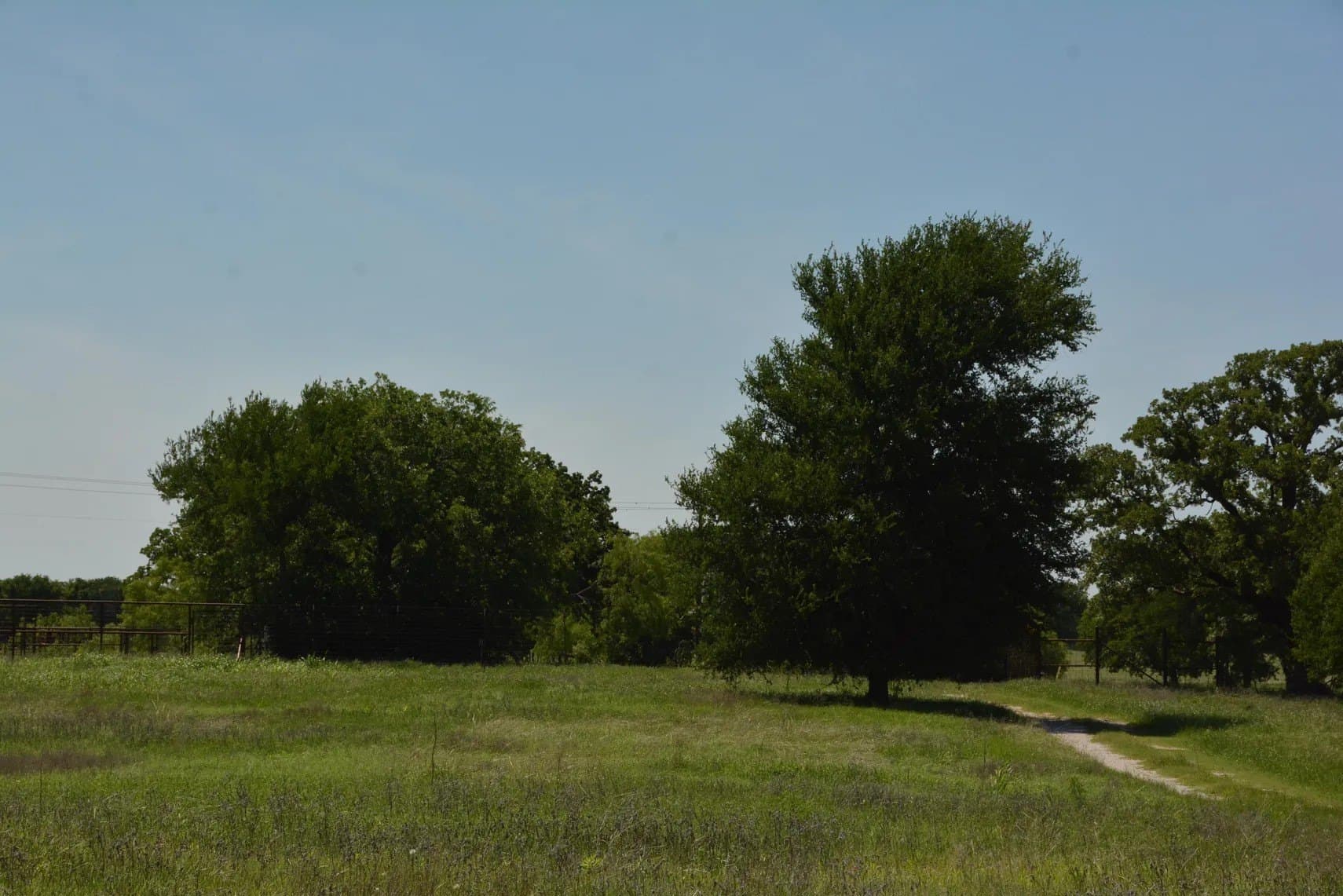 84 acres in Wise County - photo 35