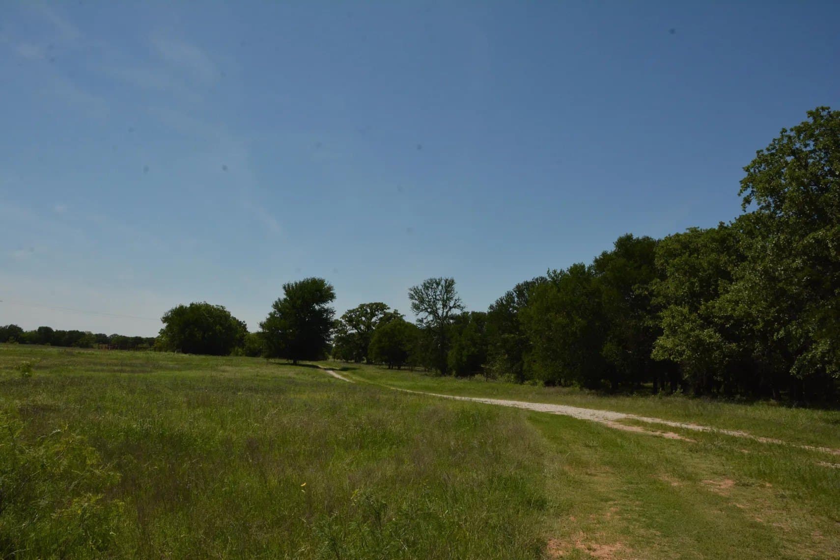 84 acres in Wise County - photo 34