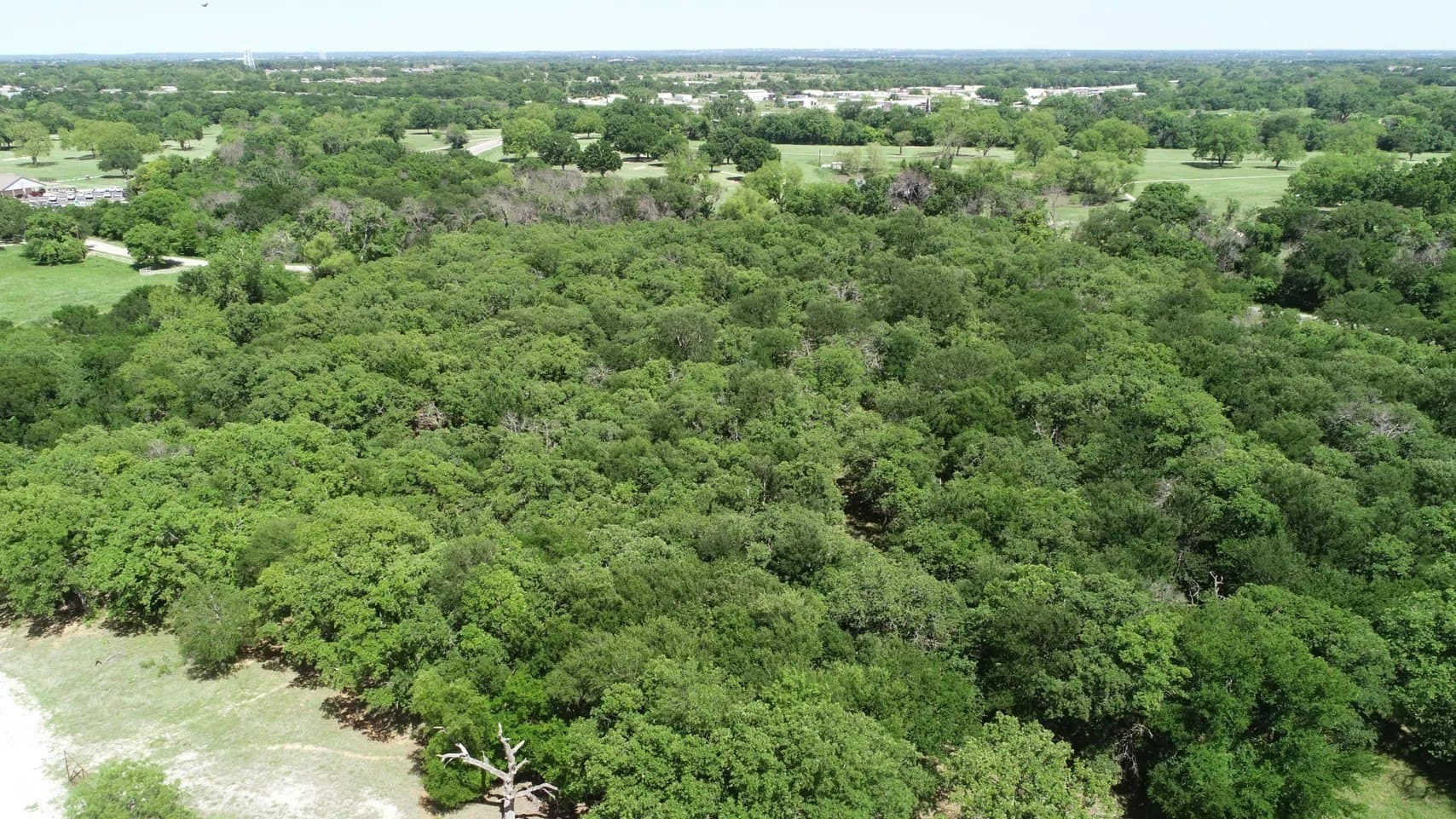 84 acres in Wise County - photo 17