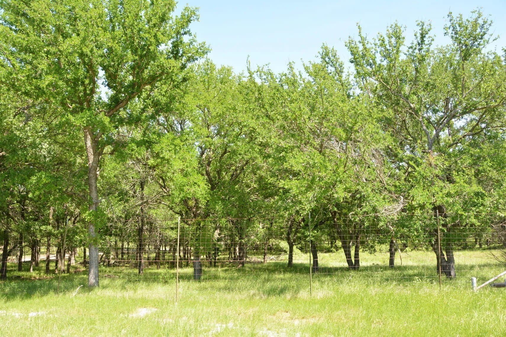 84 acres in Wise County - photo 33