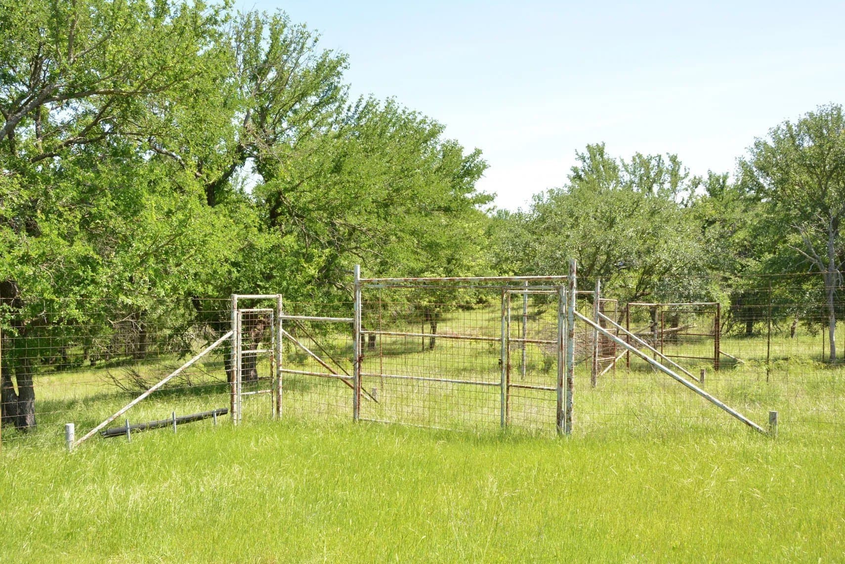 84 acres in Wise County - photo 29