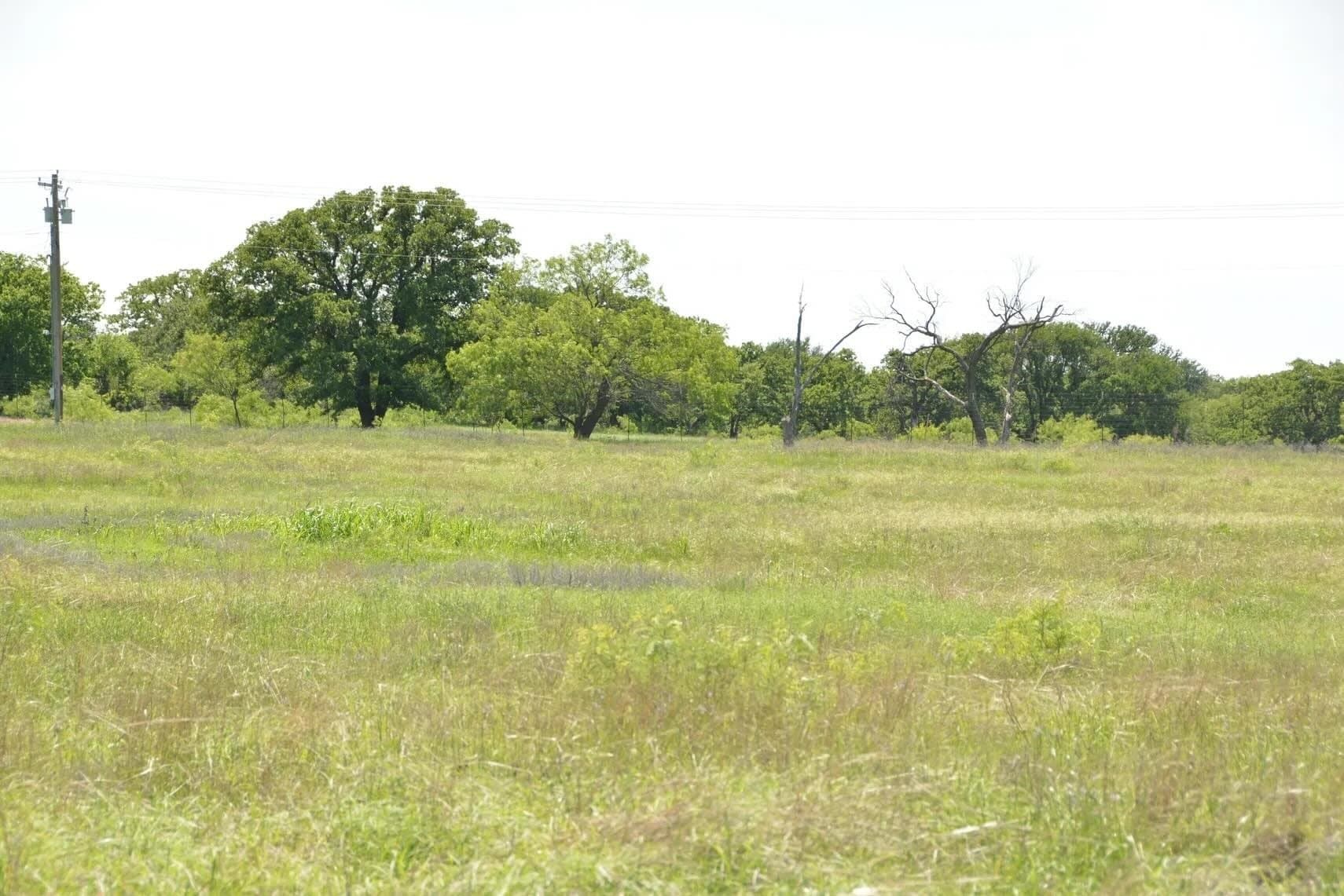 84 acres in Wise County - photo 38