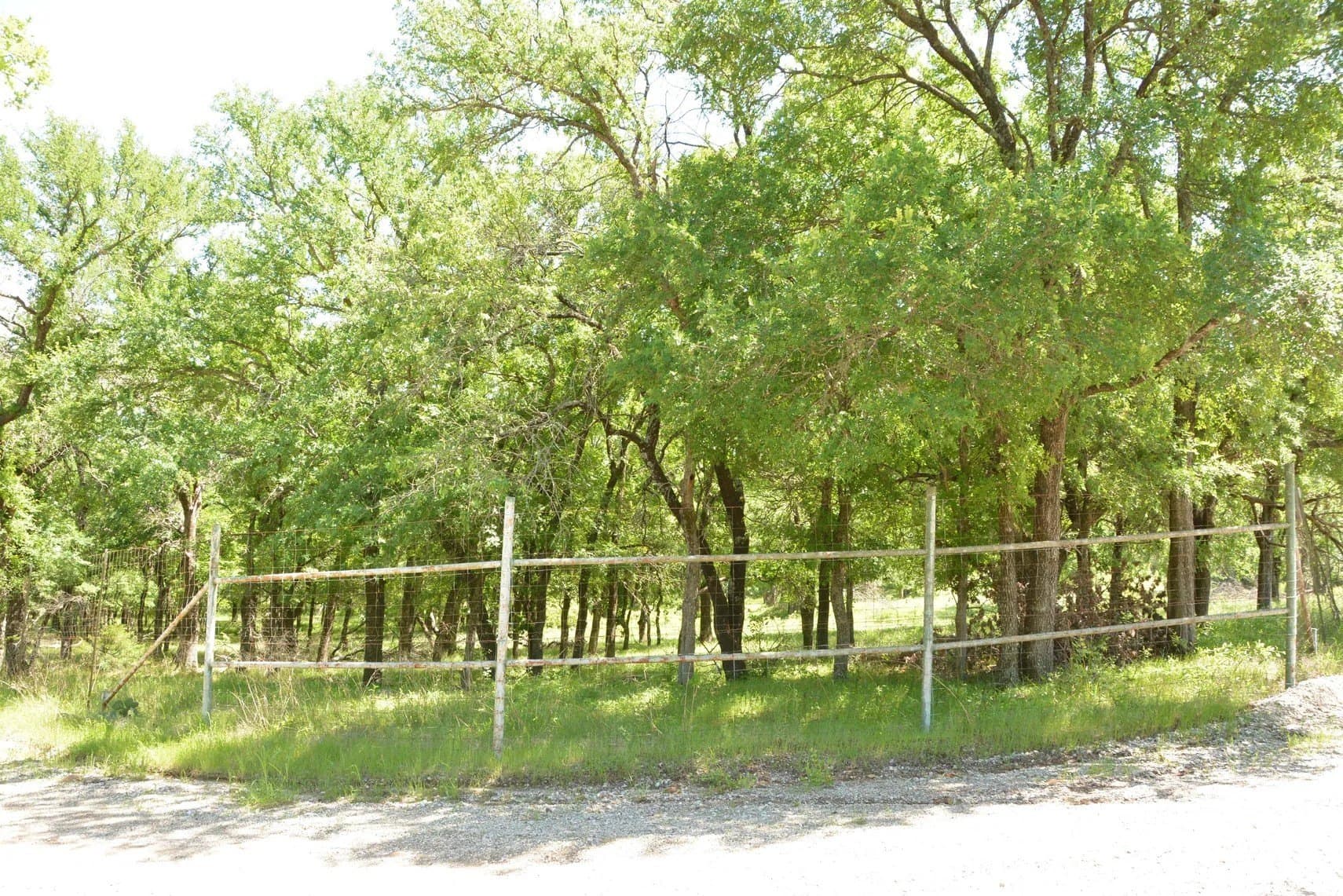 84 acres in Wise County - photo 31