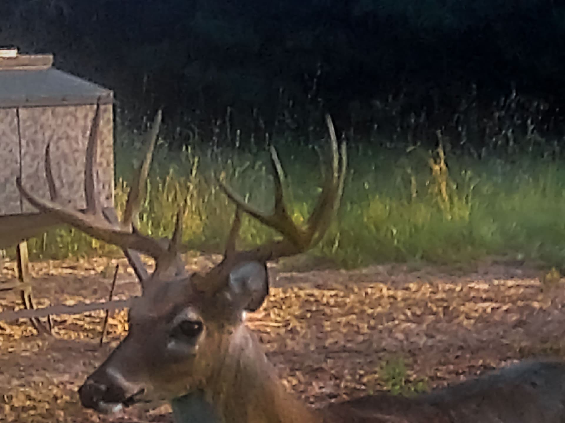 151.96 acres in Leon County - photo 40