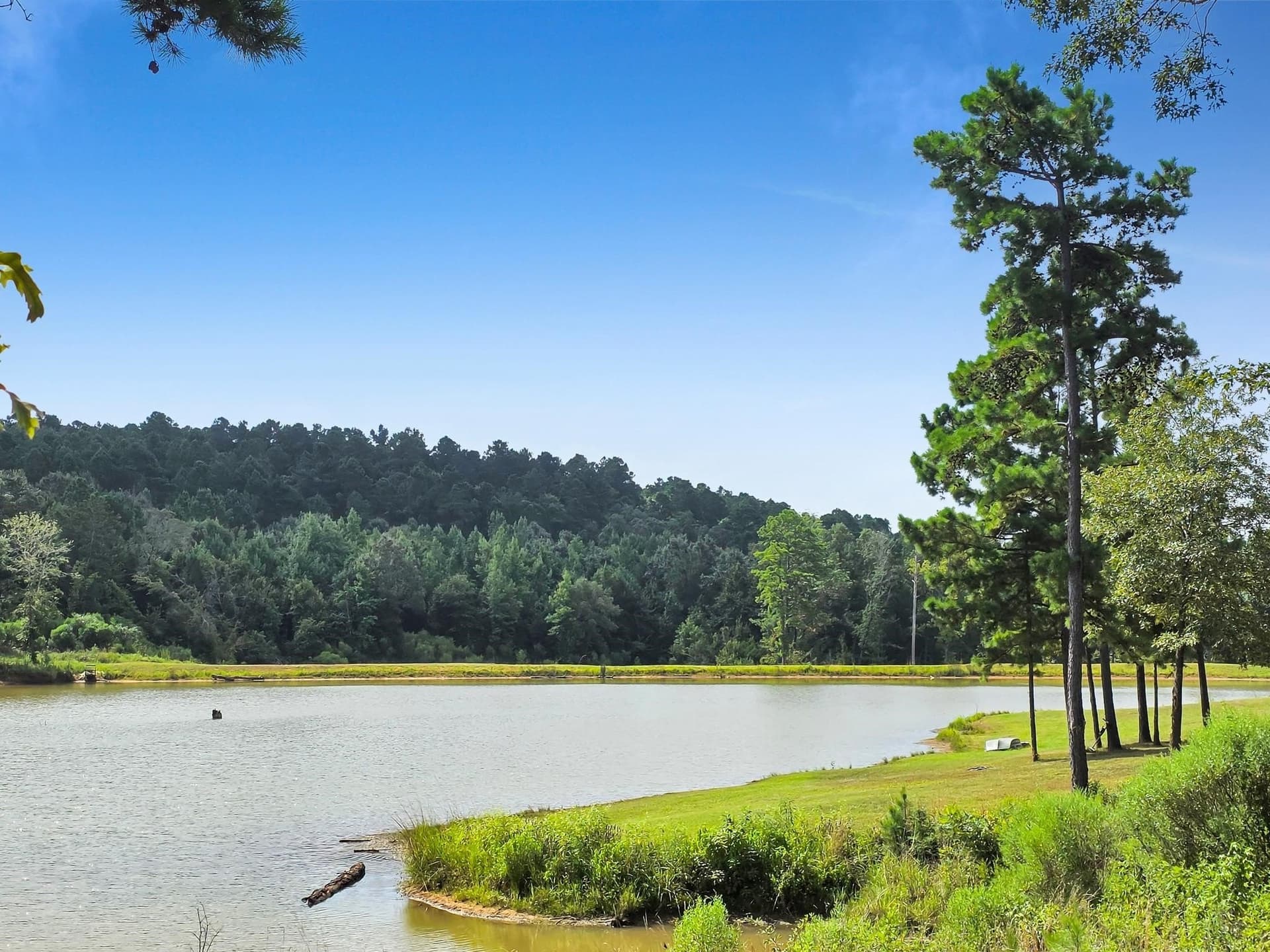 151.96 acres in Leon County - photo 2