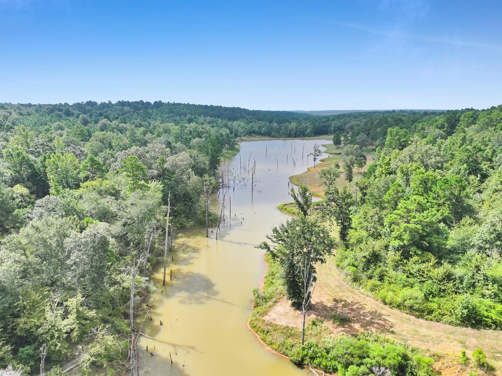 151.96 acres in Leon County - photo 34