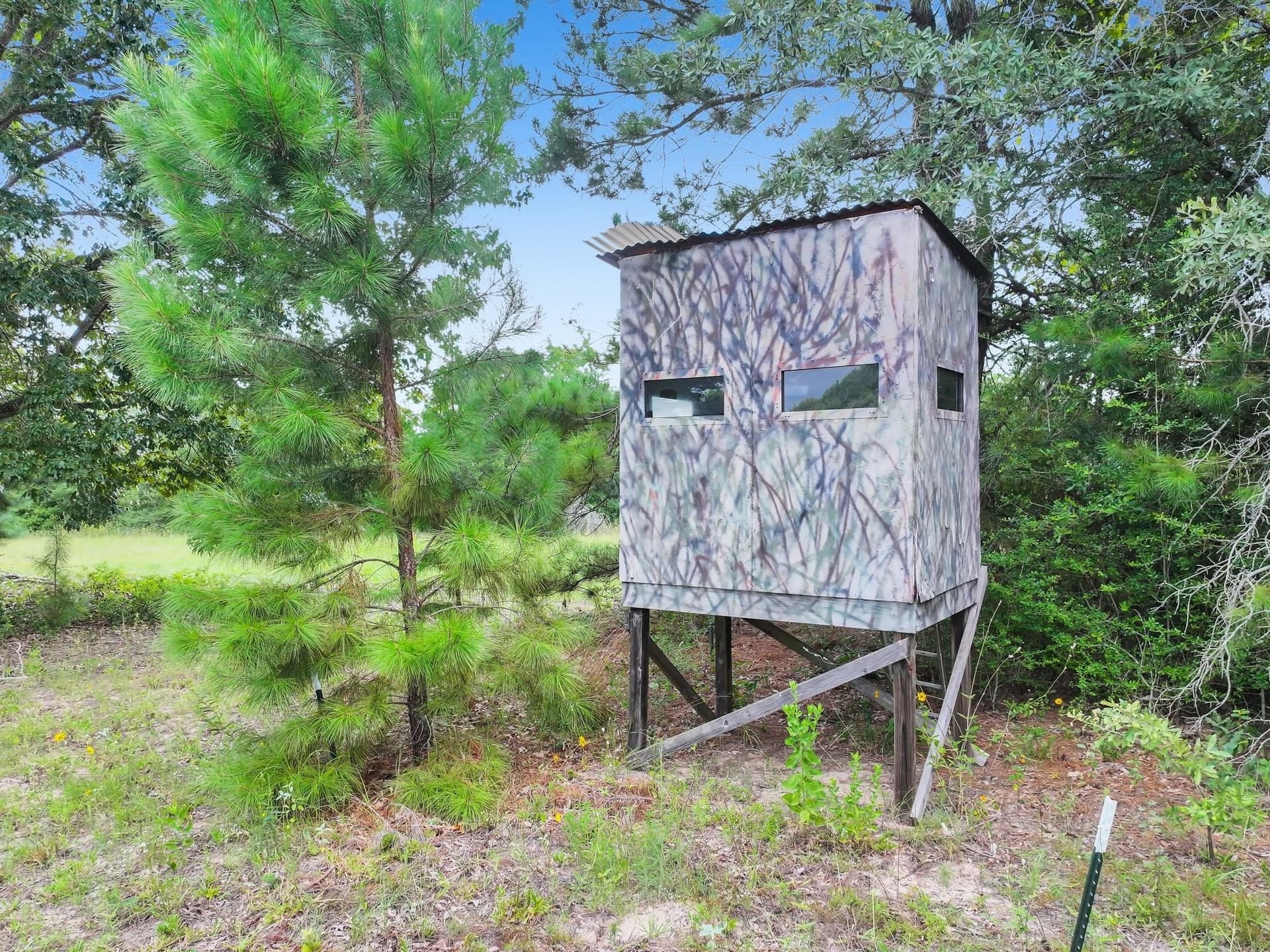 151.96 acres in Leon County - photo 35