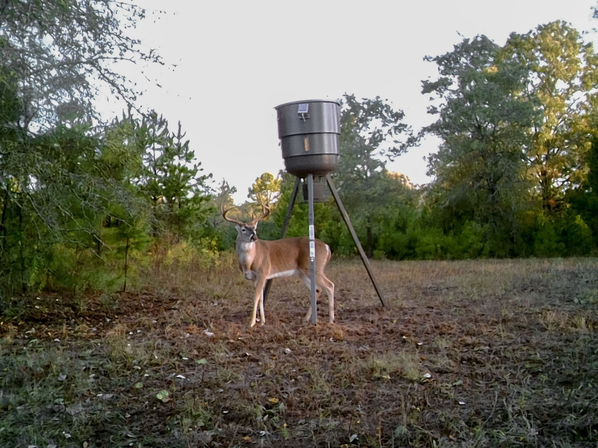 151.96 acres in Leon County - photo 38