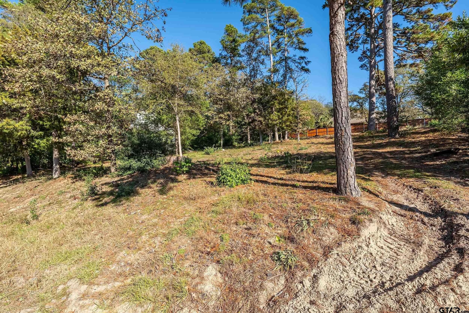 0.4 acres in Smith County - photo 2