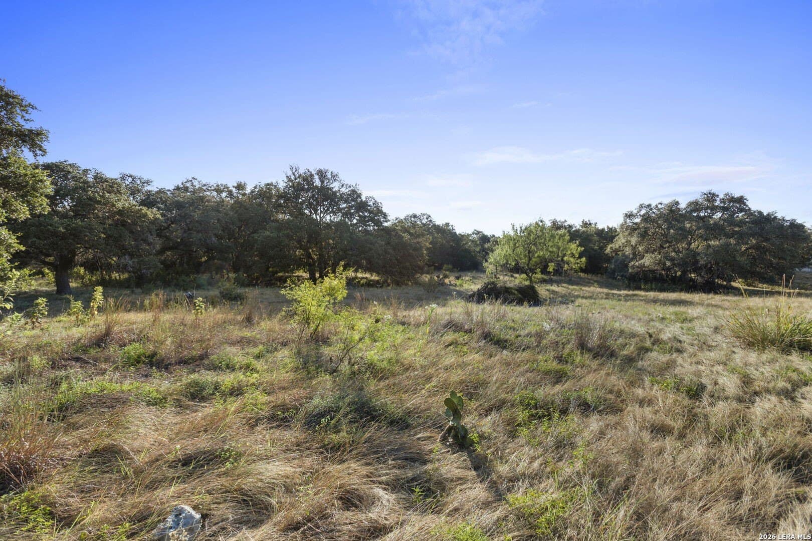 3.59 acres in Kendall County - photo 4
